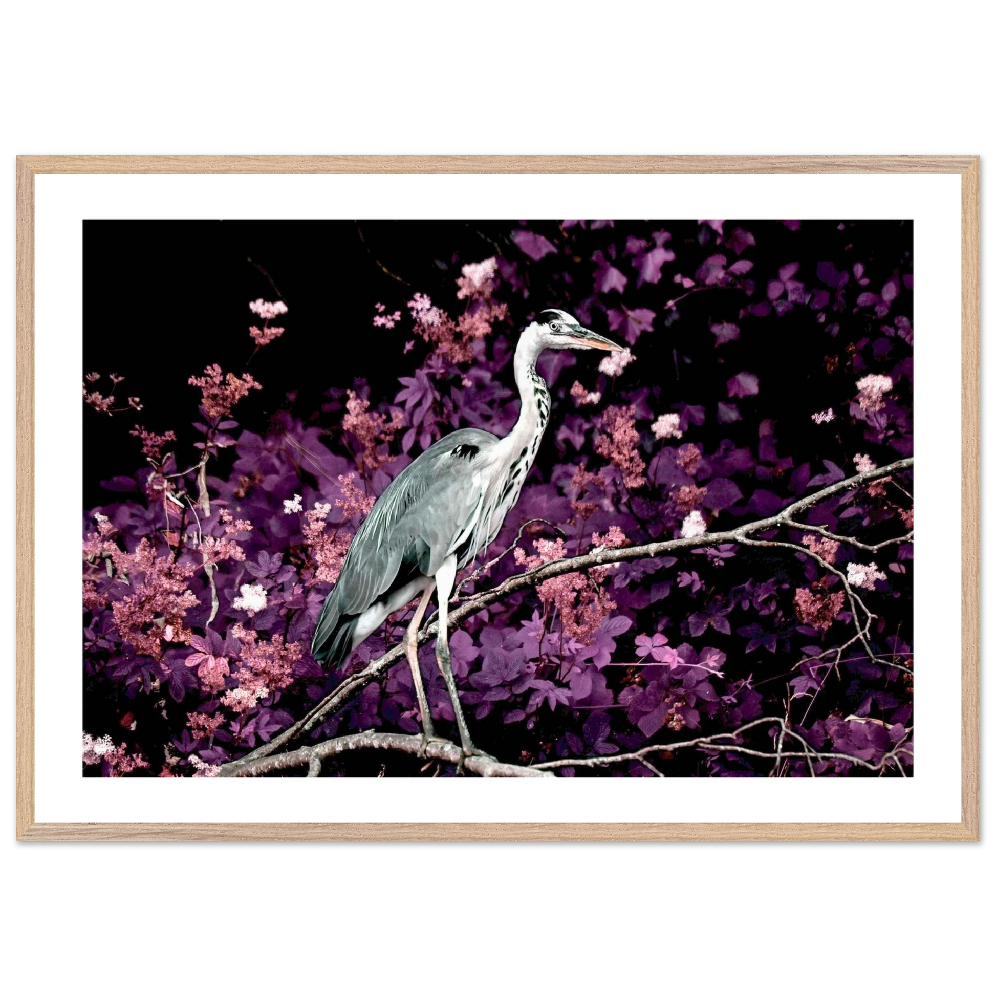 8724476b-957a-411b-942c-b596e1d58e79