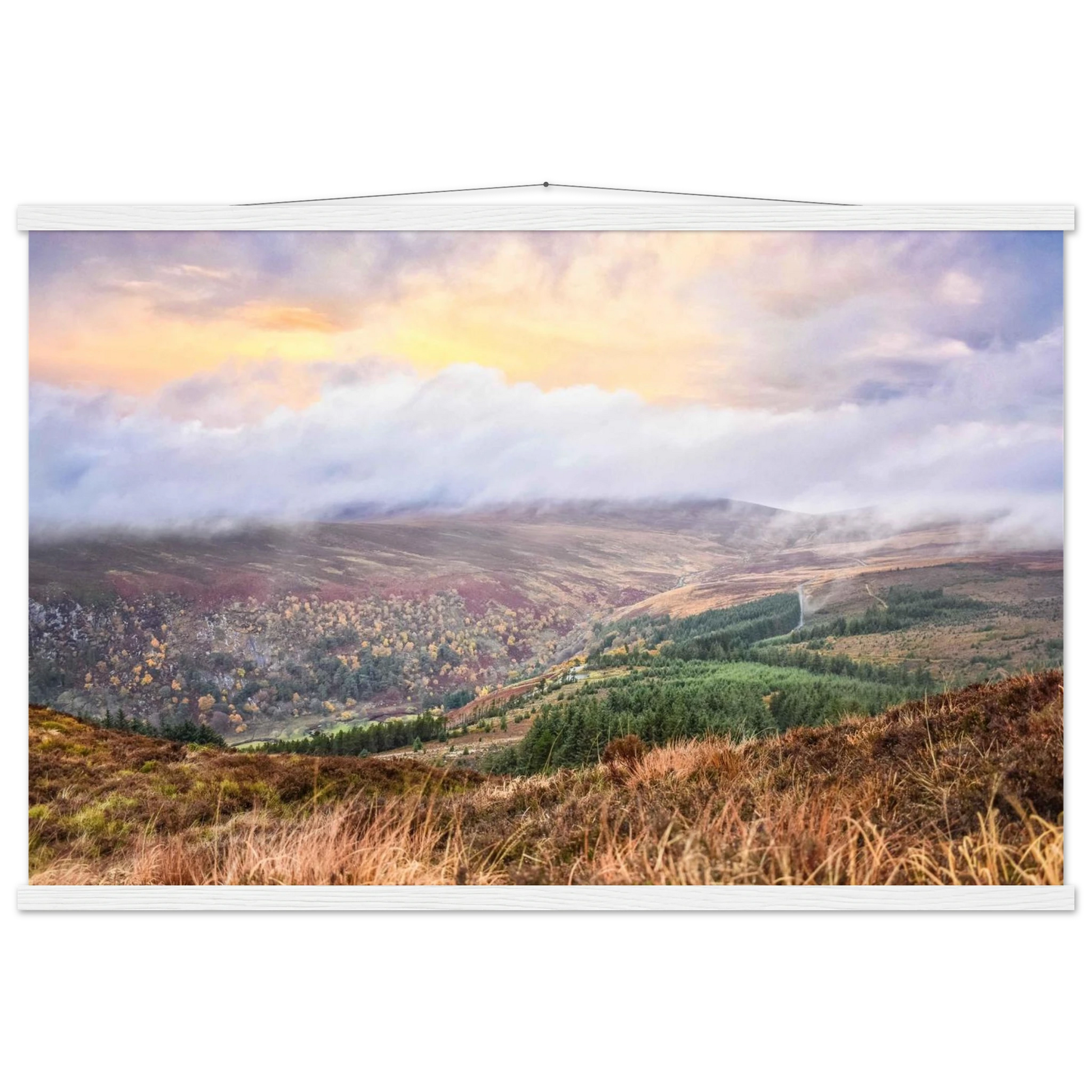 874a5702-3000-4f17-811d-cb2fa49d79c6