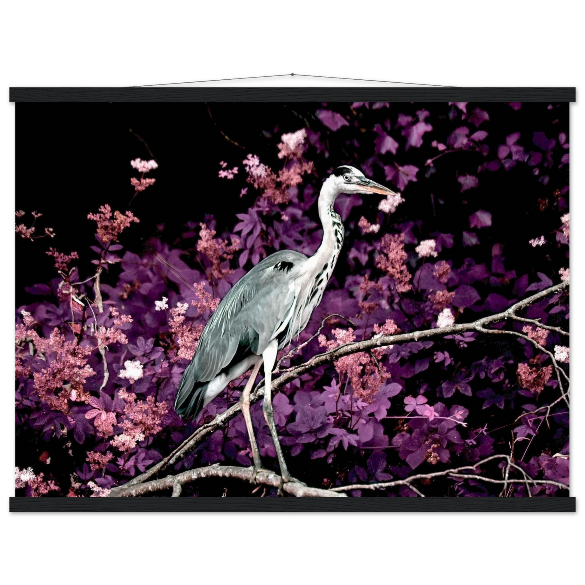 8756e2d8-d1cc-4ef0-974b-ca0cba8b97e1