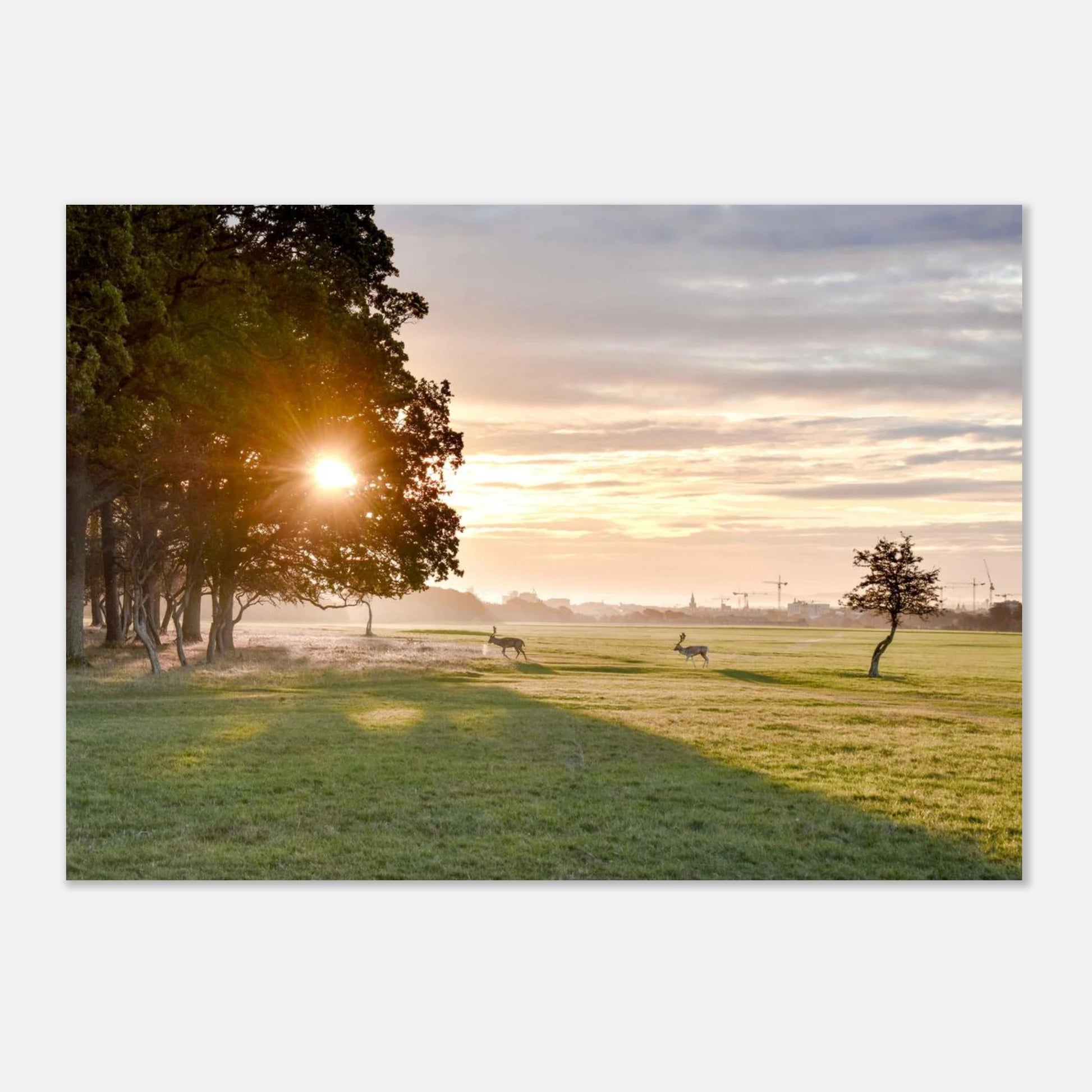 877c005f-9b28-4443-81ad-98aac17a5f19