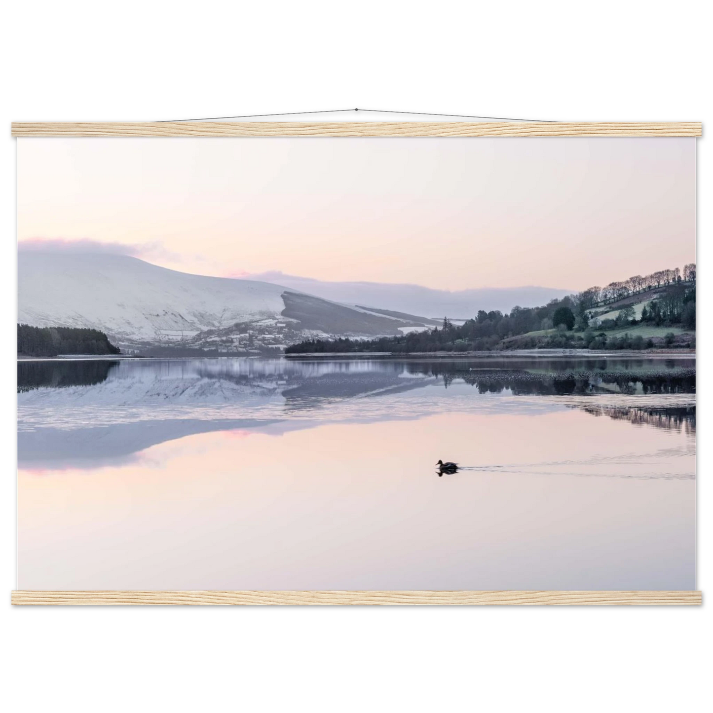 88322035-43cd-4033-b932-a34b41d2e7ef