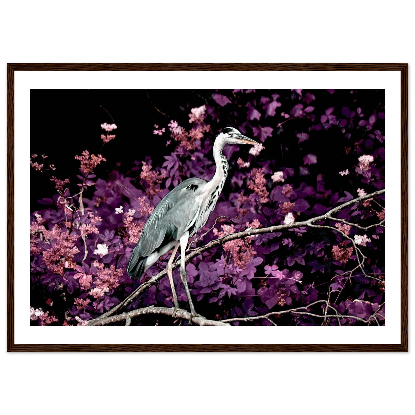 88686019-fbb5-4f9d-b6eb-58c5265bf4c0