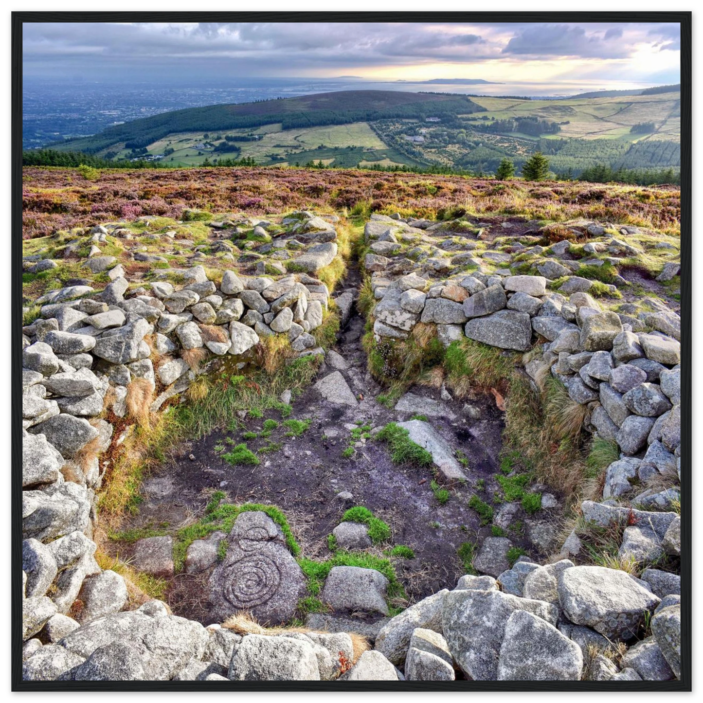 88755ea1-5843-44c8-b8b7-ea8a11f7b5b5