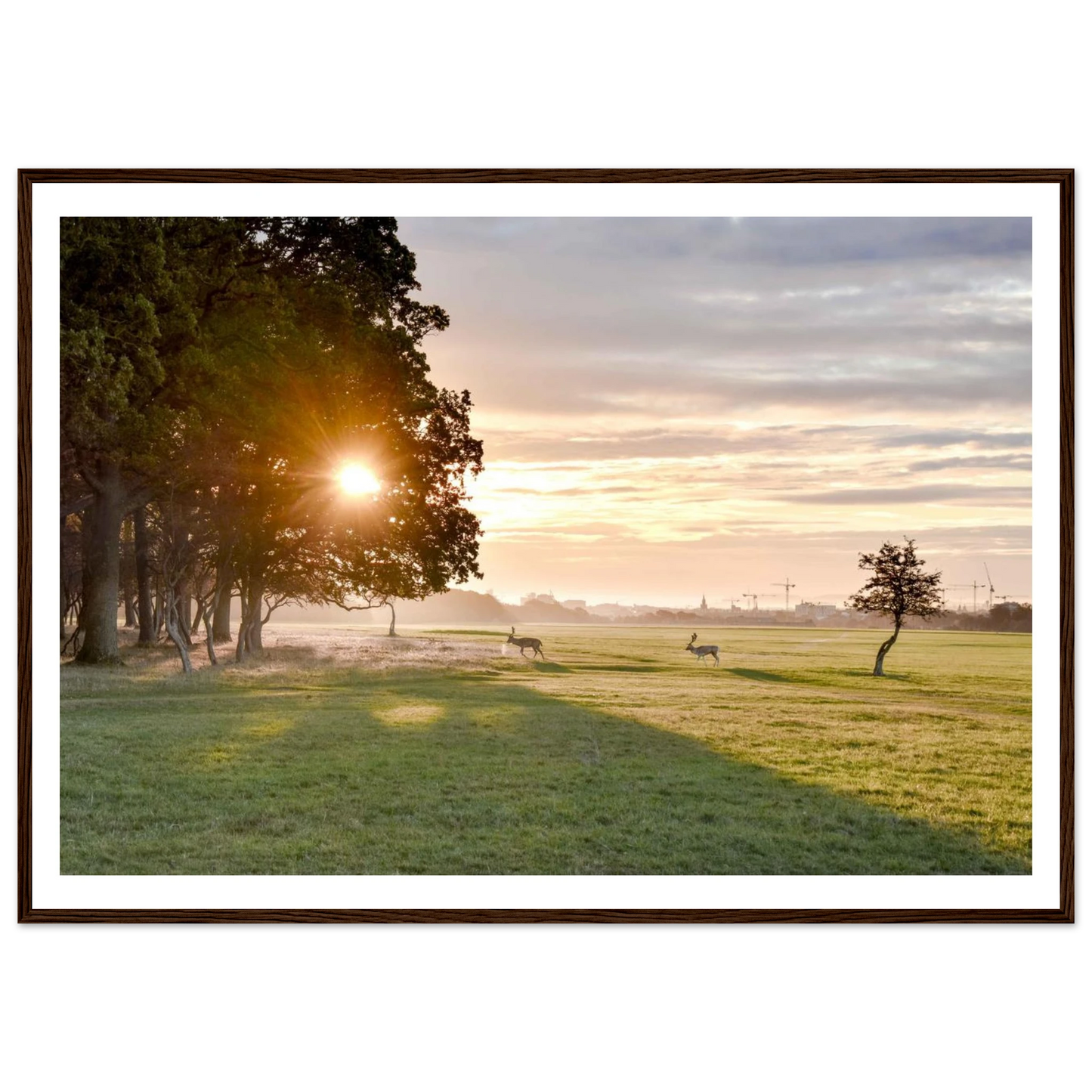 889161ac-75a7-45fc-9857-19ce1b27eef9