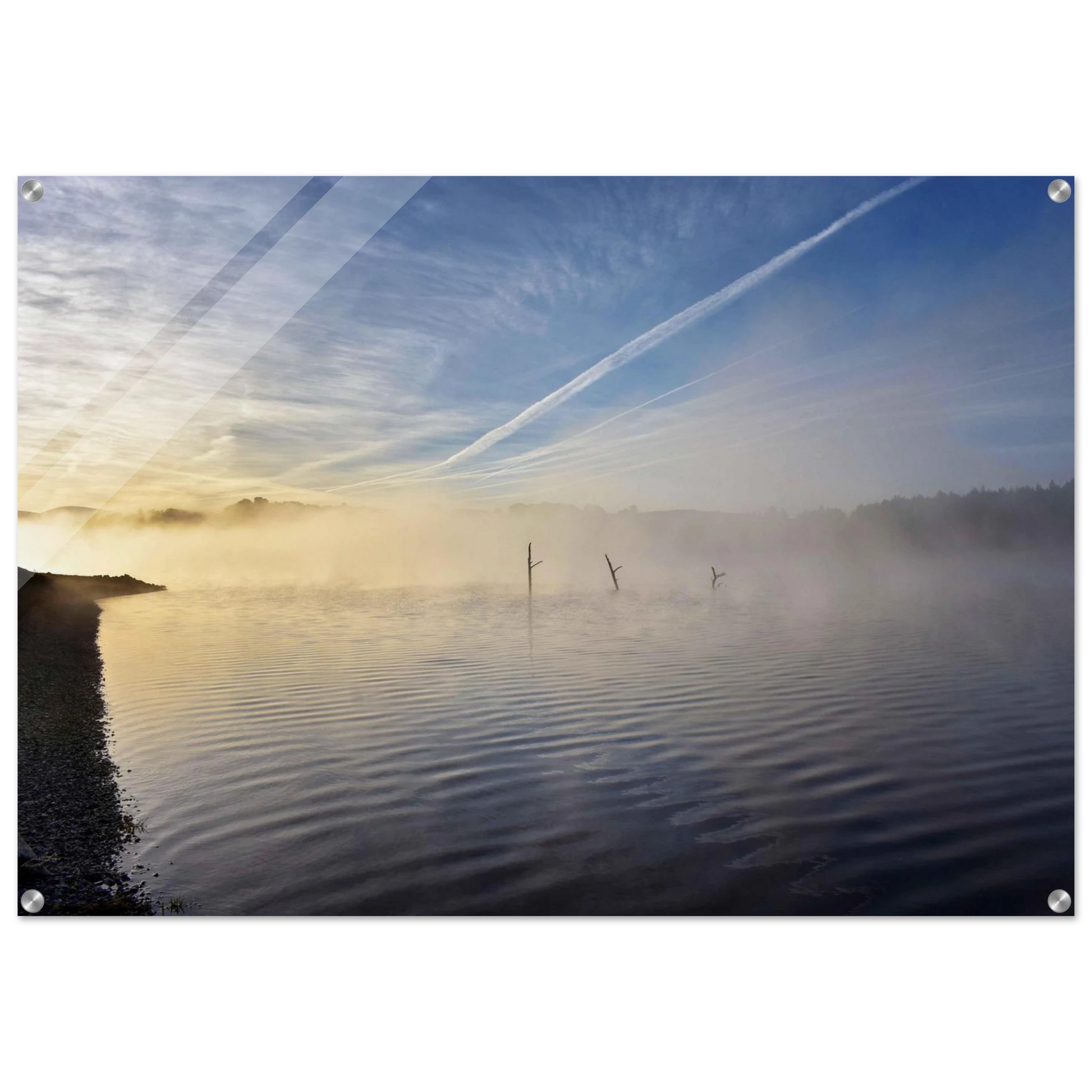 88a80e8e-4b32-4613-a36f-5d25f9906251