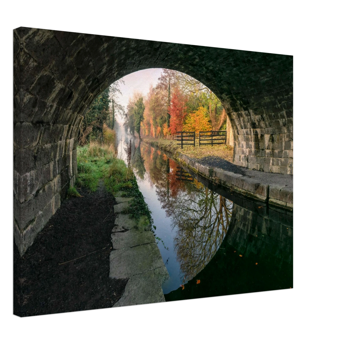 88b1db61-006b-4e00-9f54-8cfb1b04c453