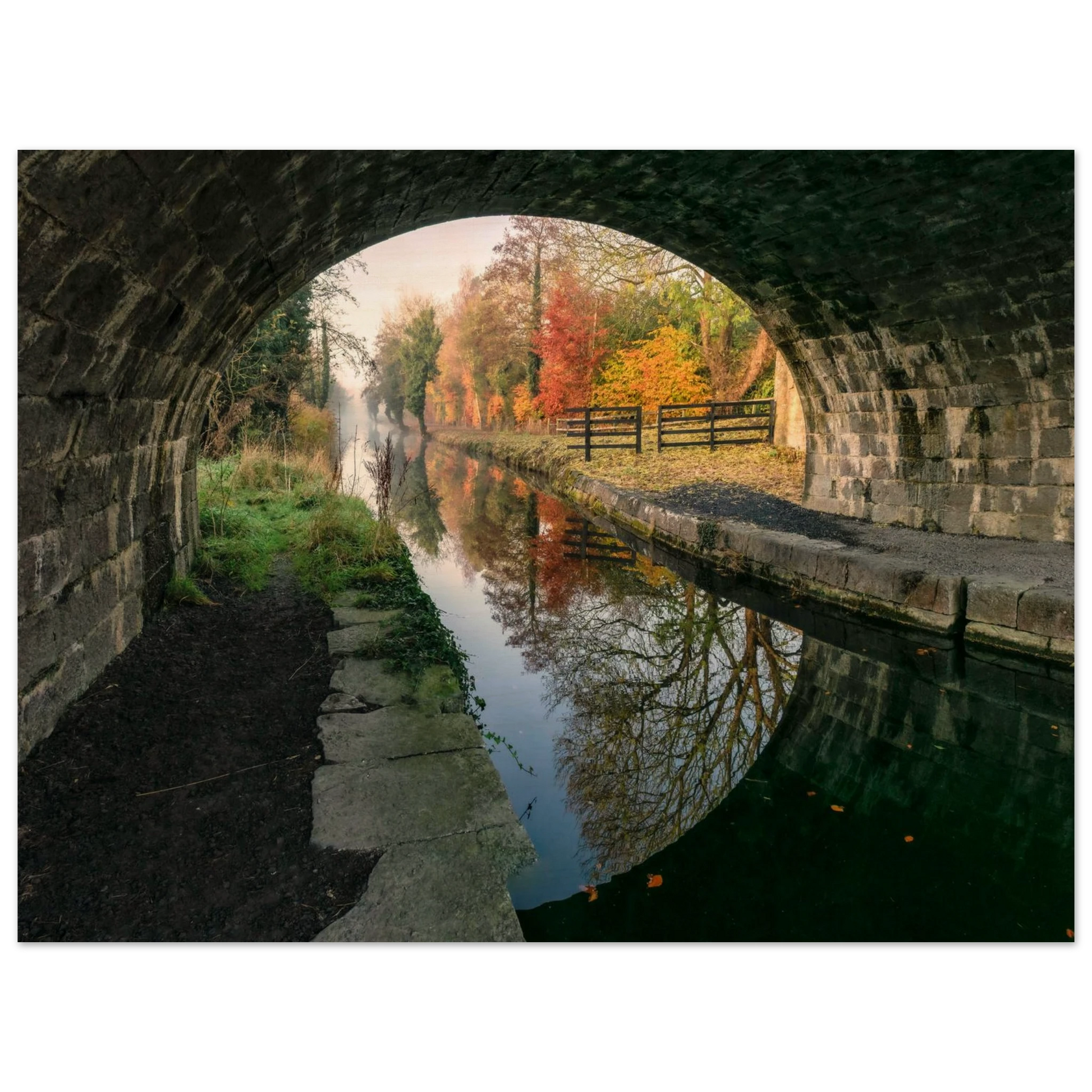 890a36bb-8576-4a31-9515-563e983db80c