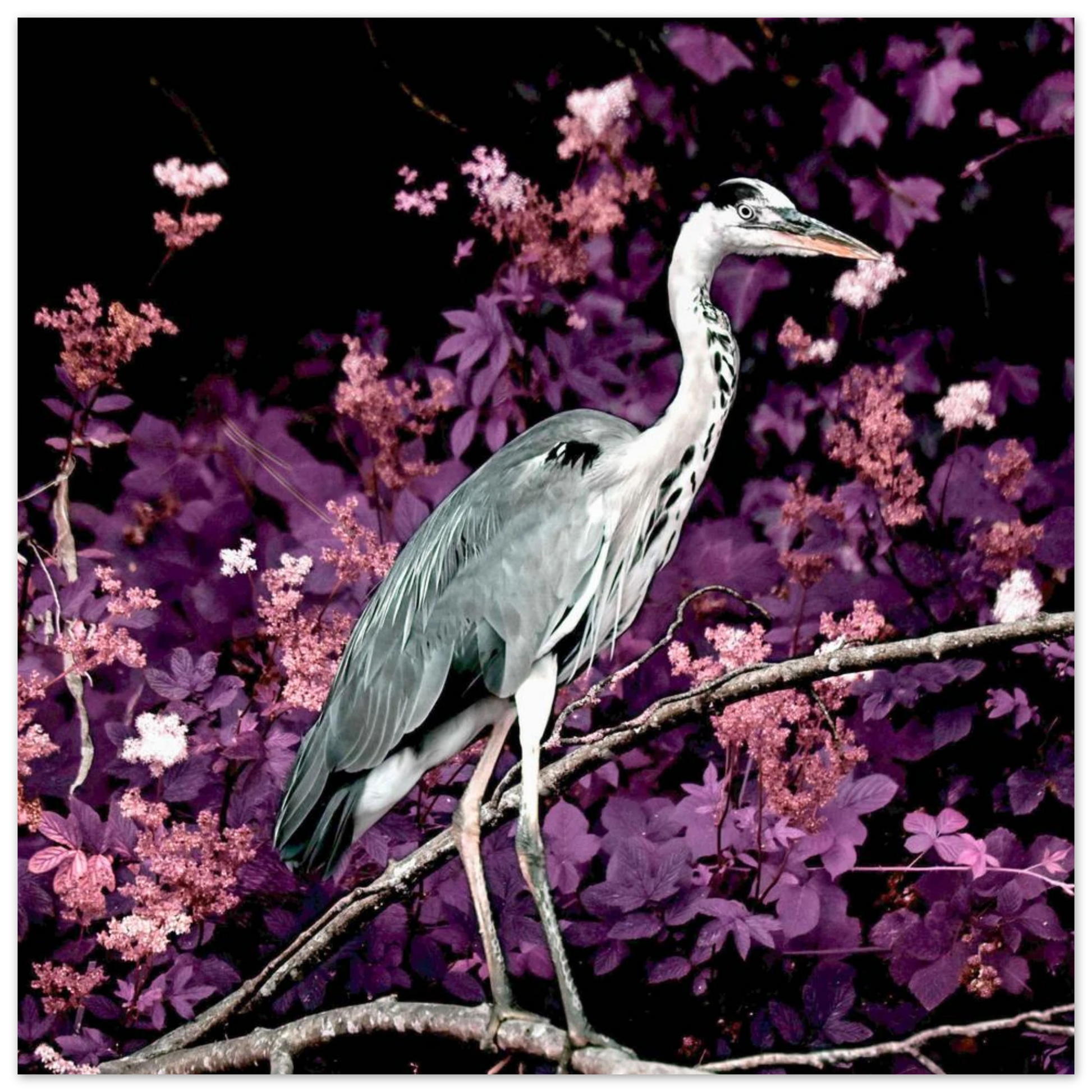 89b062c3-0875-49b7-bb1b-02ad85b6f0a1