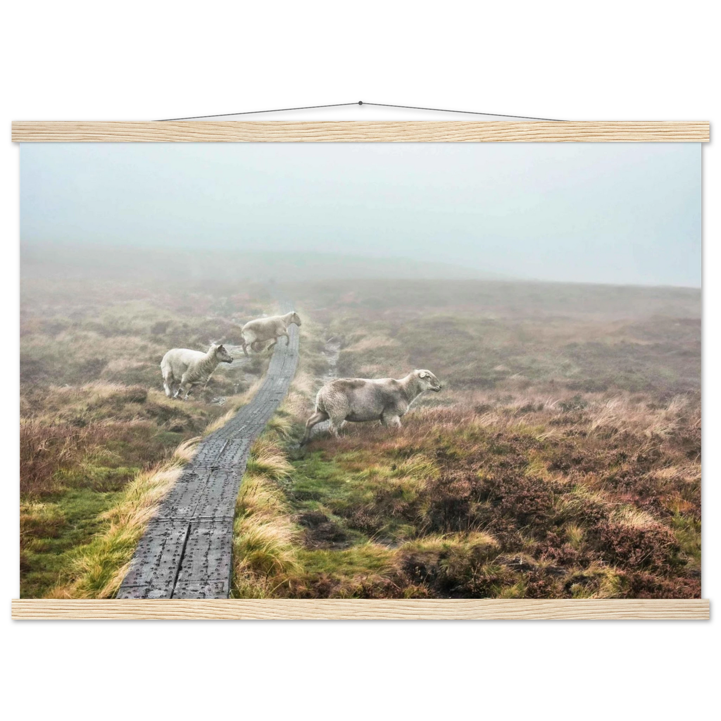 89e4d707-075b-4cf3-9c05-fc7ab145b600