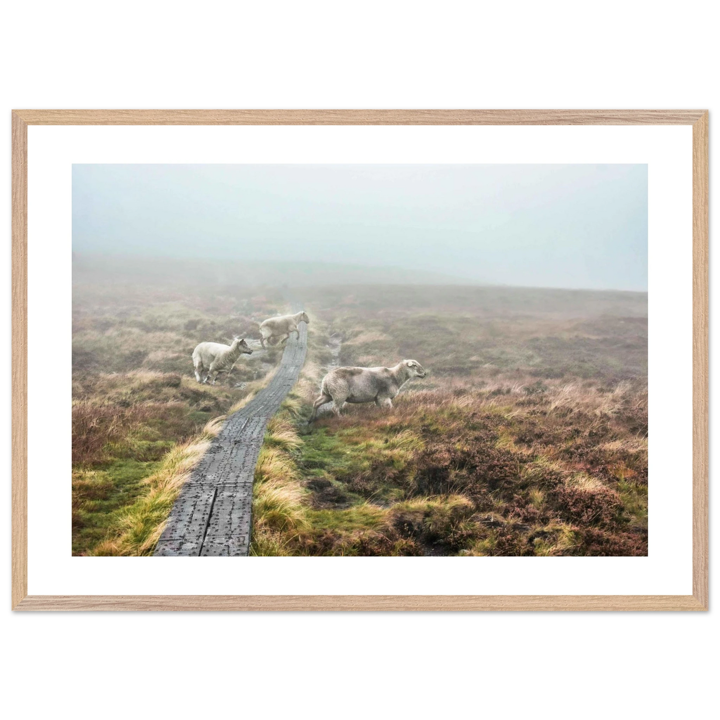 89f6865b-6631-4bfd-ad17-73c258ce2d69