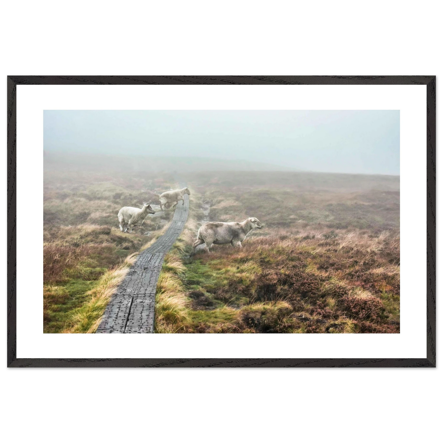 8a591e3d-d4e5-45cf-b6e8-f09f7d3c898f