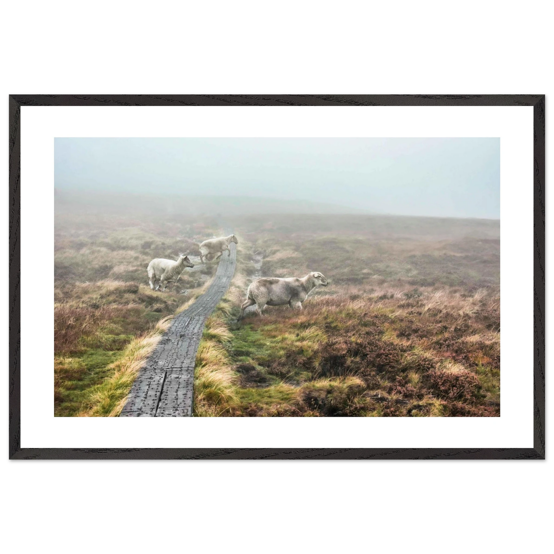 8a591e3d-d4e5-45cf-b6e8-f09f7d3c898f