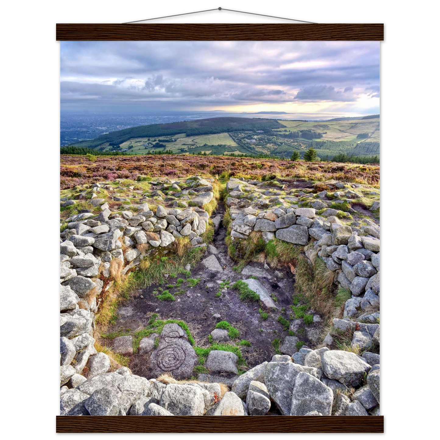 8a5c5117-e9d3-4a39-a4db-4bcd9395ffc6