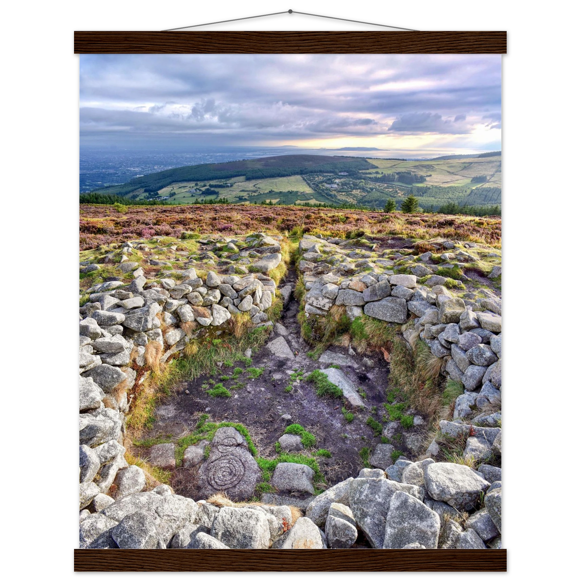 8a5c5117-e9d3-4a39-a4db-4bcd9395ffc6