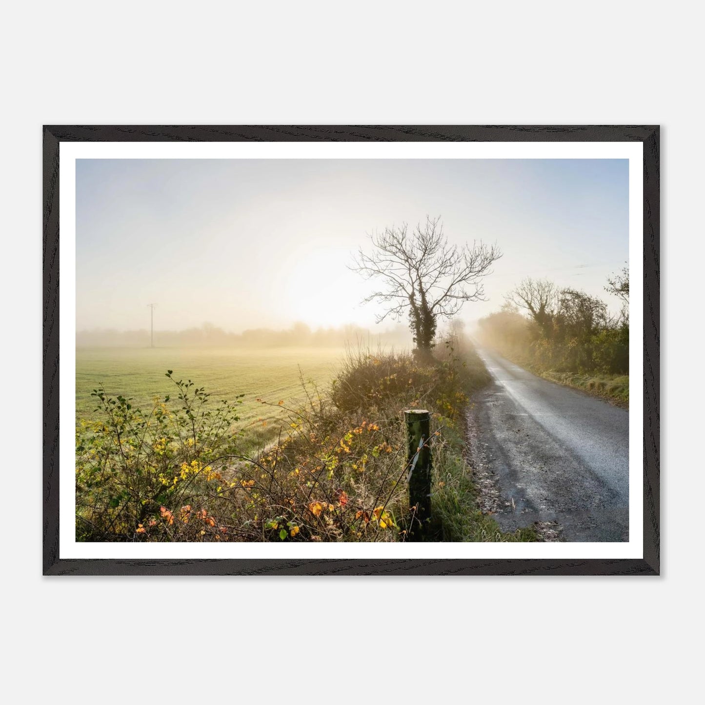 8a758273-934c-4ab7-a0e8-d251eb624e58