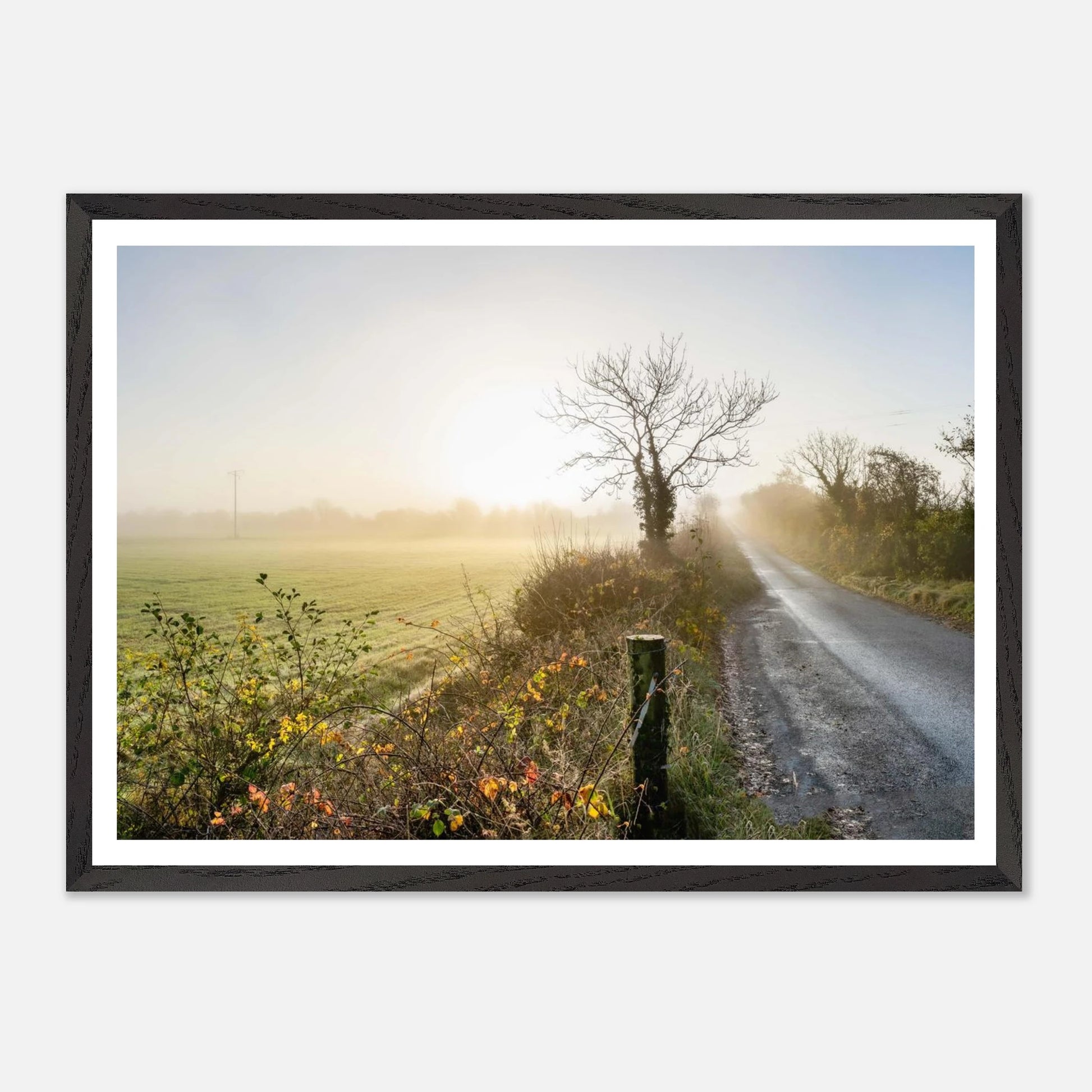 8a758273-934c-4ab7-a0e8-d251eb624e58