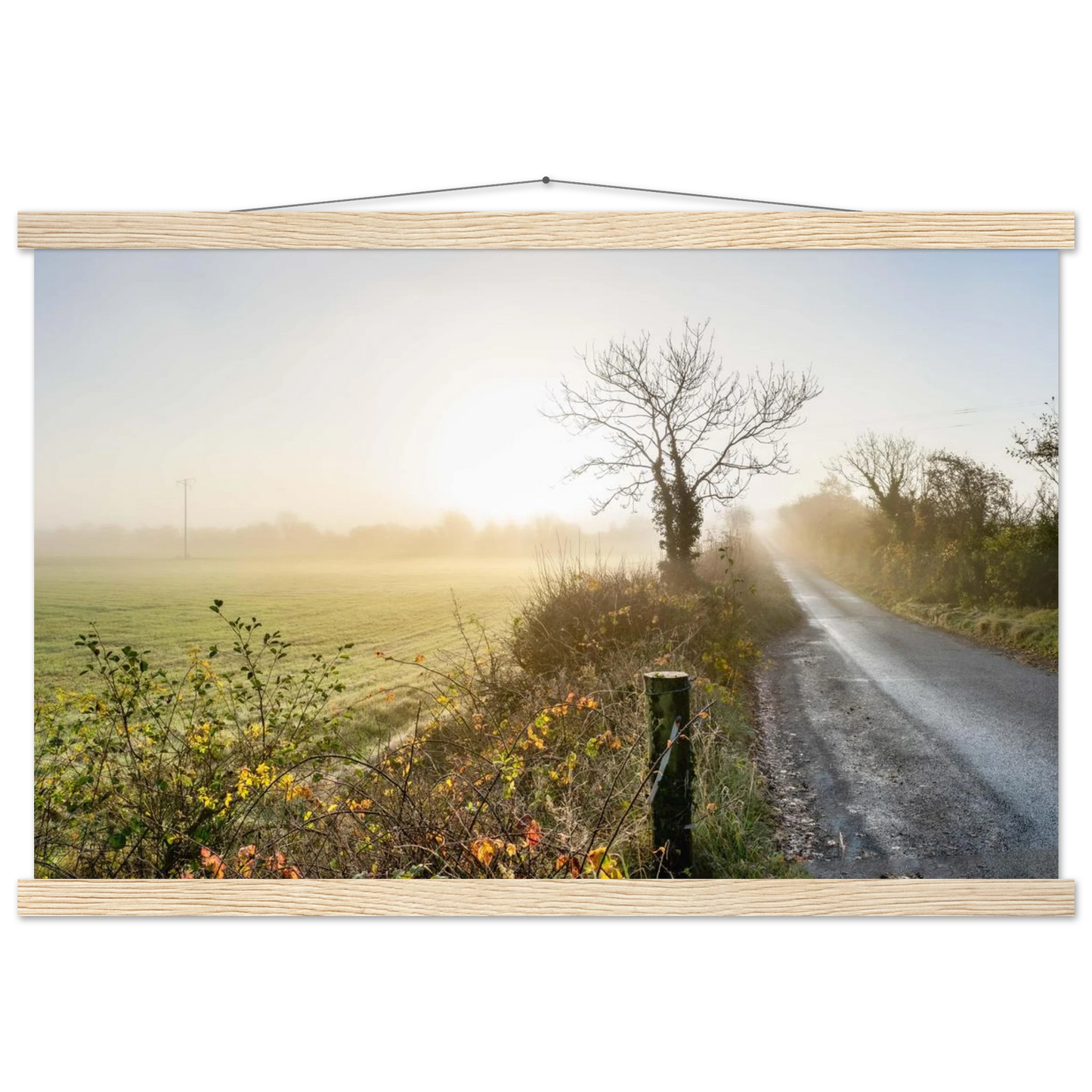 8a9def8a-4ca5-4b05-b68e-93f9dcc740c0