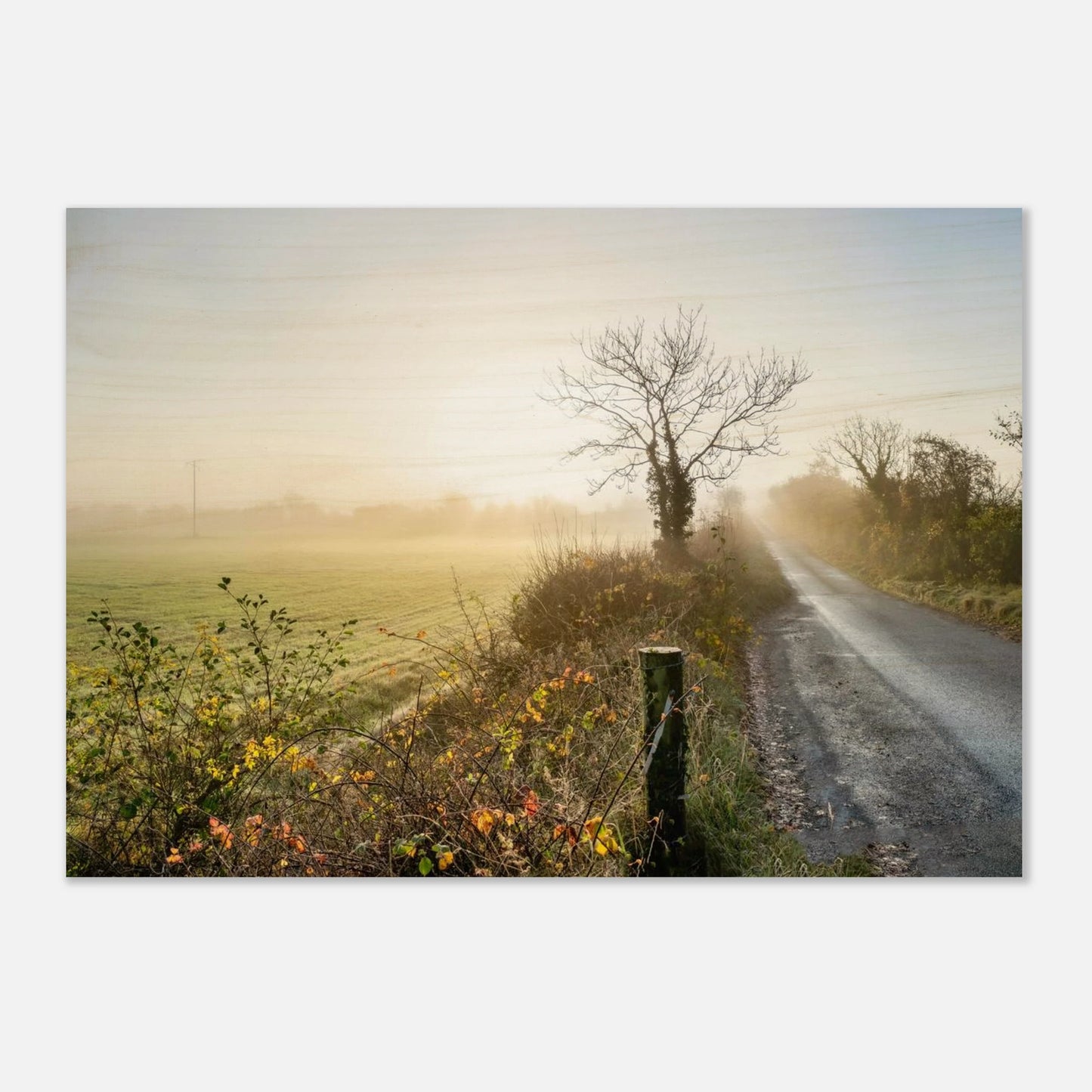 8aad4b2d-e3a7-48c6-8d68-d49391a423c7