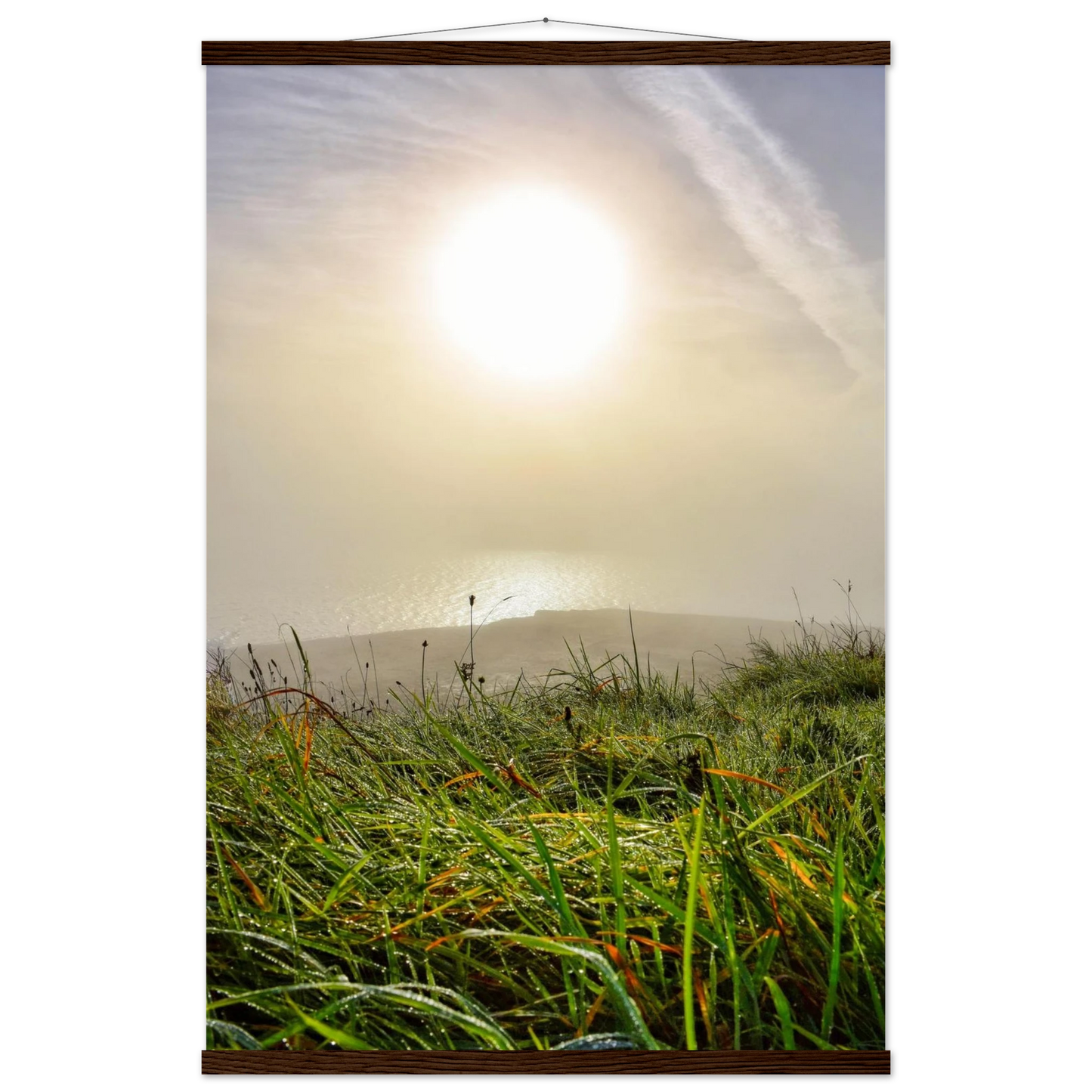 8aae55ed-ae41-4622-b917-0c79a353fe4a