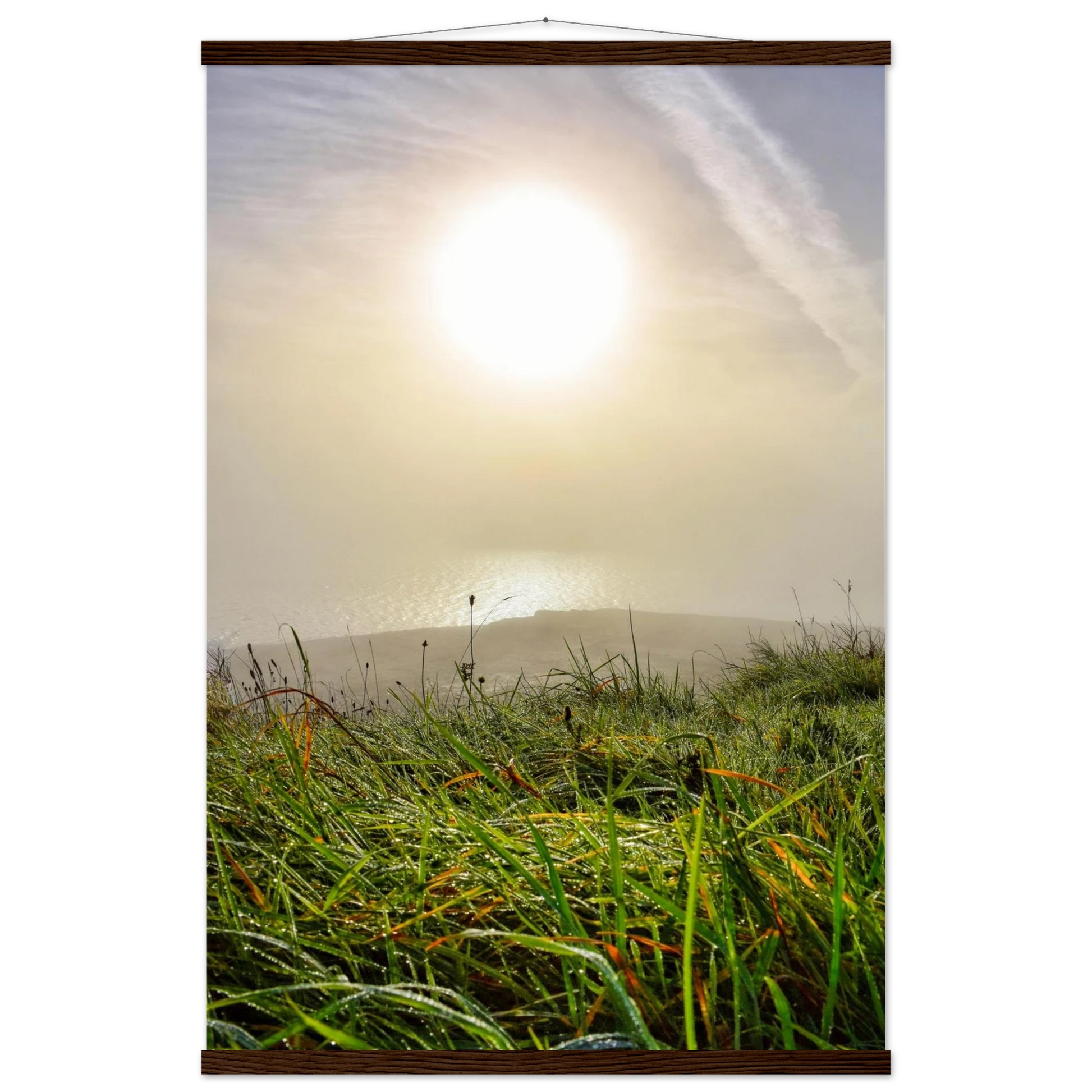 8aae55ed-ae41-4622-b917-0c79a353fe4a