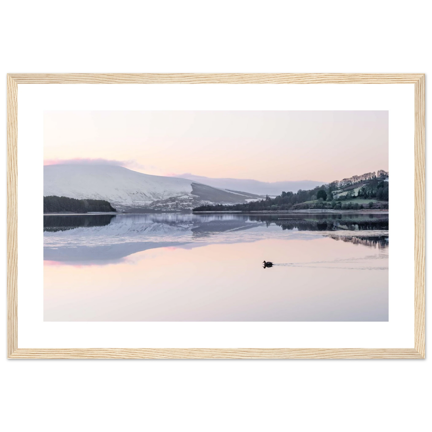 8ac56263-c90c-4834-9004-064ebb9e19d0