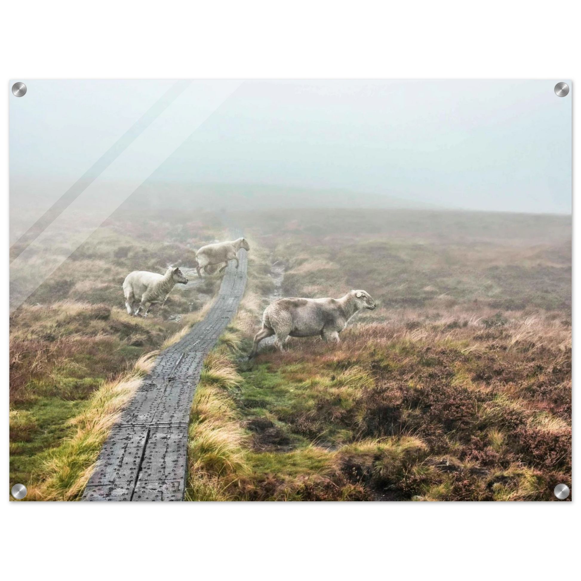 8afada93-5c56-42a3-a584-2f72c98707c6