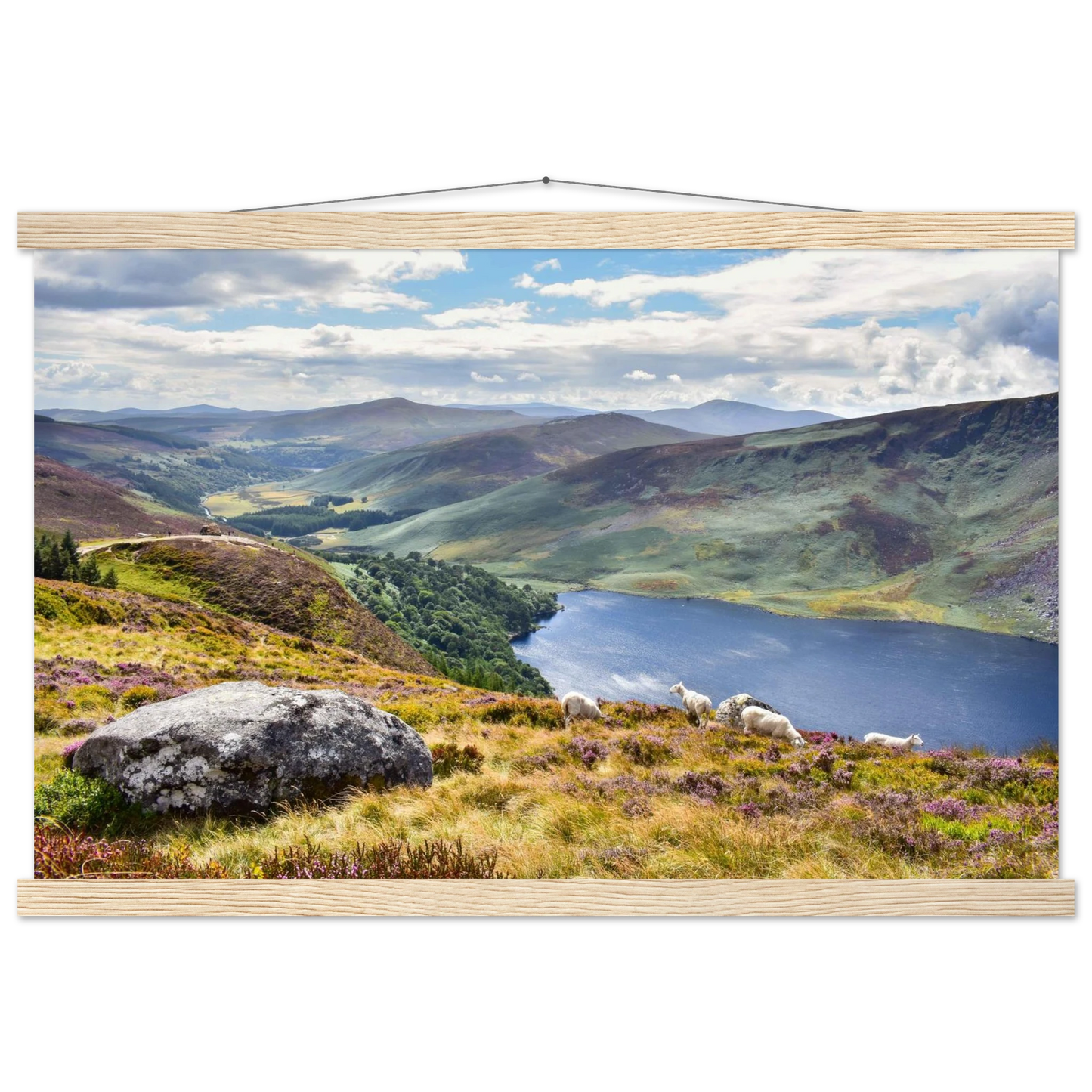 8b02c713-9510-4f0b-8ea6-a94422549ad8