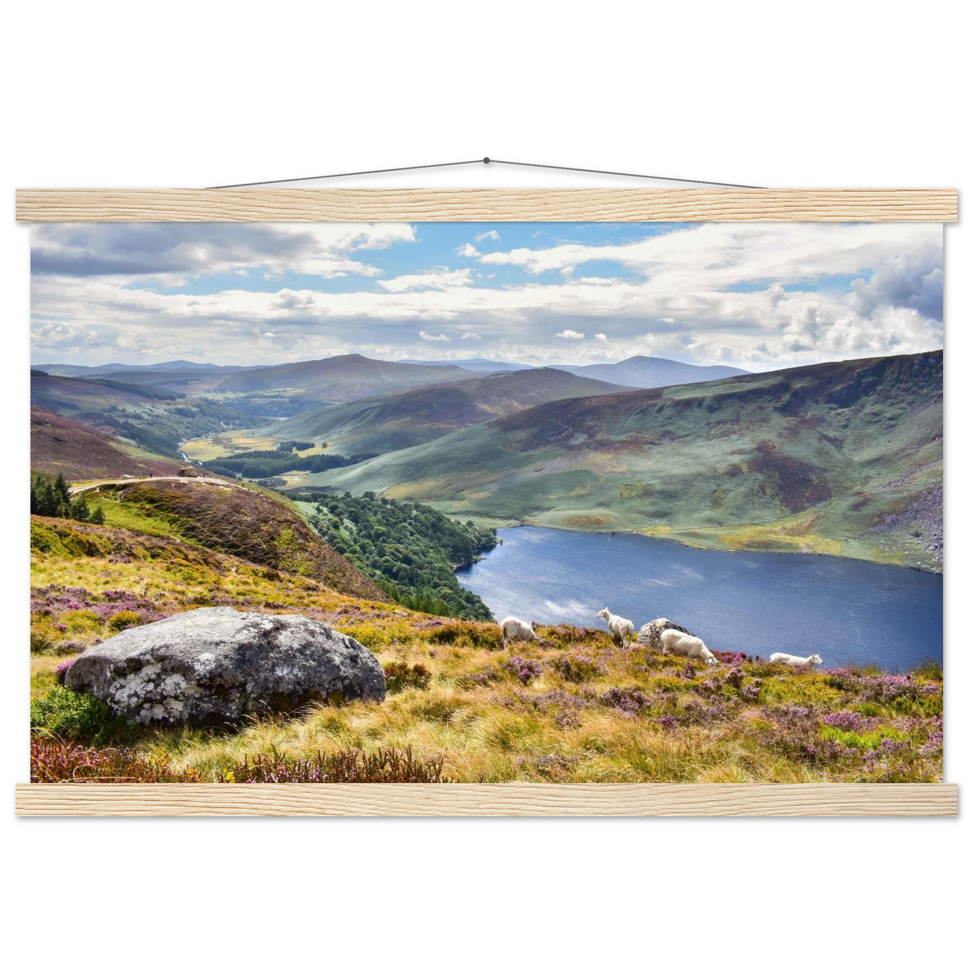 8b02c713-9510-4f0b-8ea6-a94422549ad8