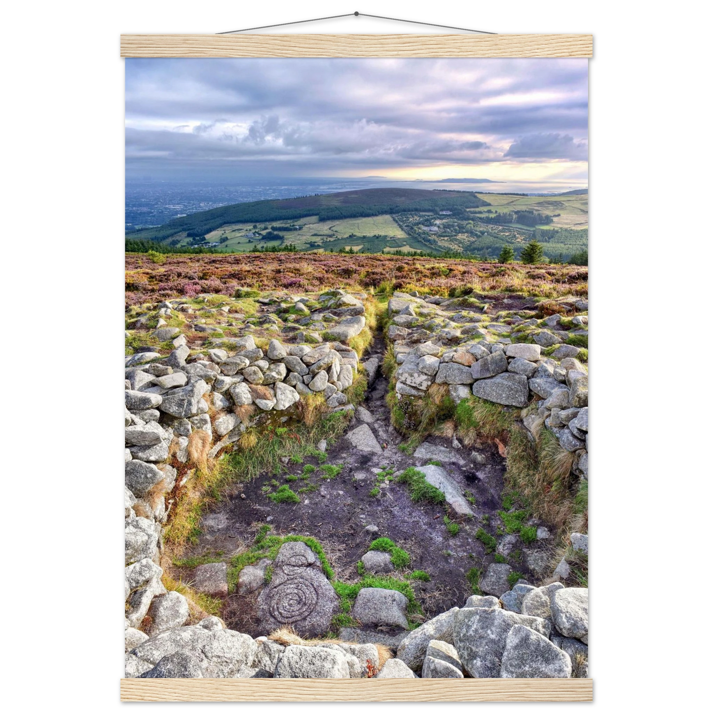 8b2113ad-2cd5-42a7-83ff-d32e128dffcb