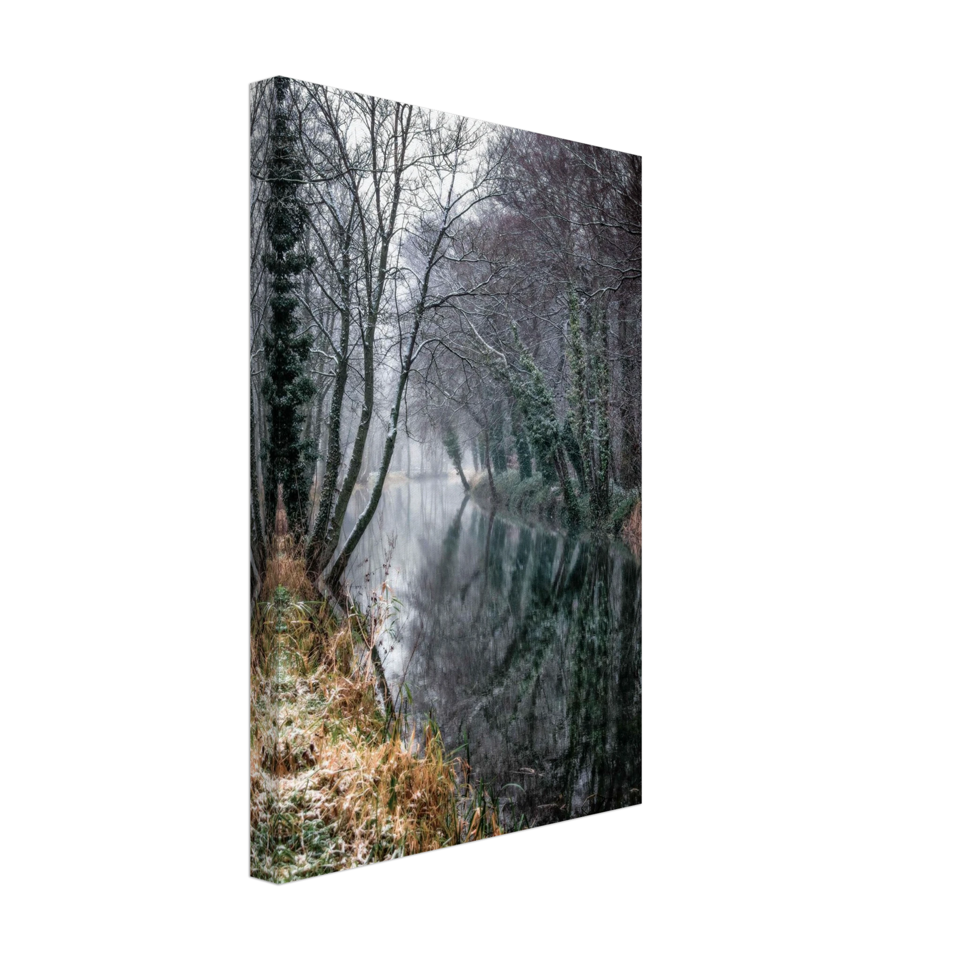 8b566500-a90b-4138-91e1-05812a4472c8