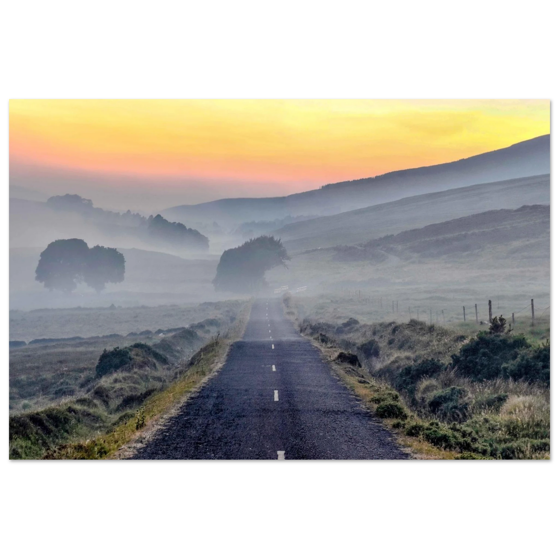 8b66d812-9ba7-4e1f-98ca-11cff764c95b