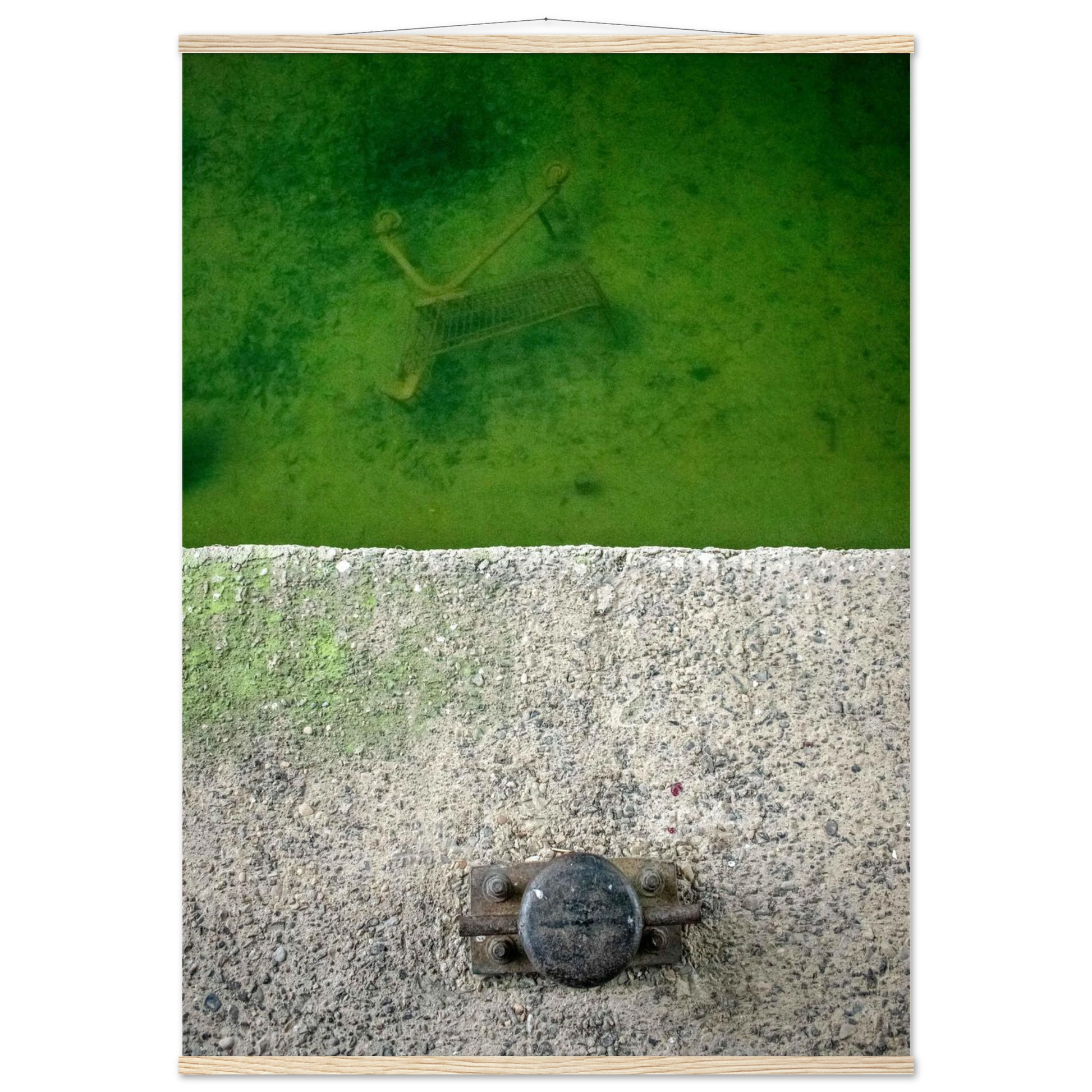 8bac8e5e-8ec0-4694-8e31-268998d1427e