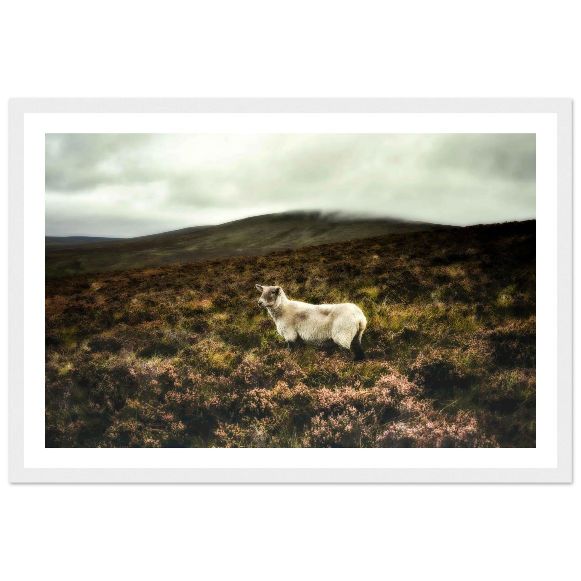 8bdee3bb-f22e-41f0-b2a2-63e62bab5470