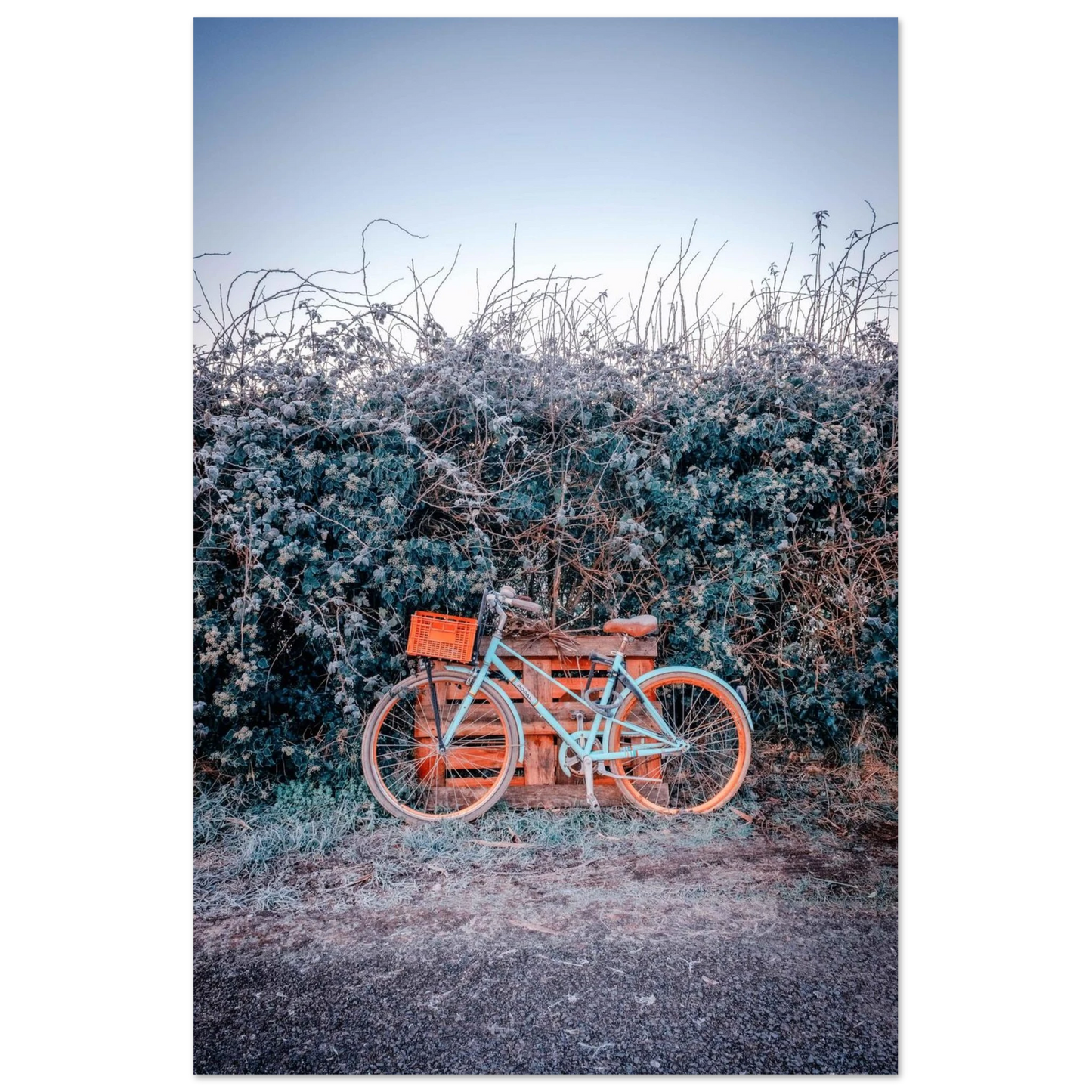 8c73b4ac-8a5d-4b15-ace9-c5a9b8a98283