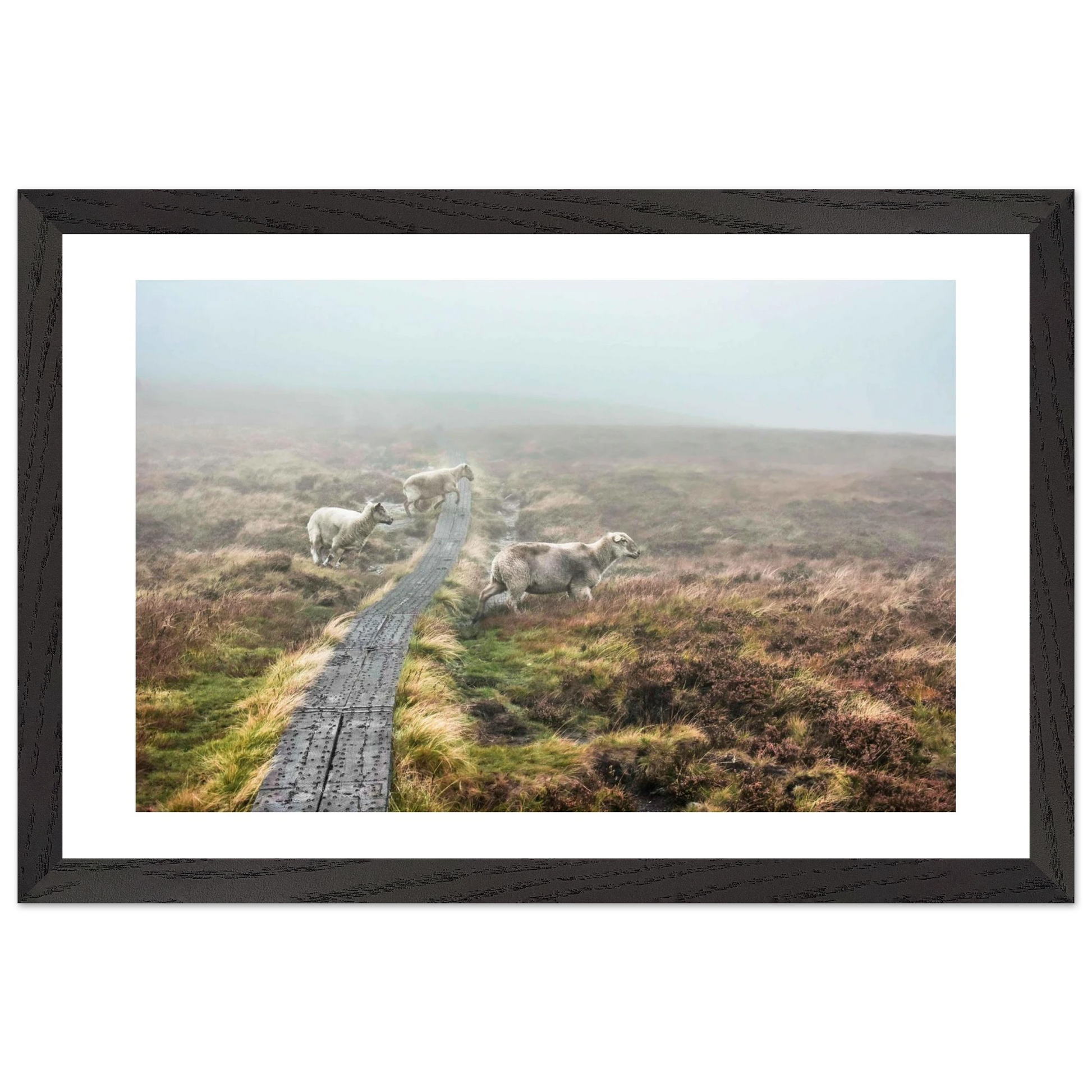 8cc26311-d903-46b7-aa2a-32bc6f0704b9