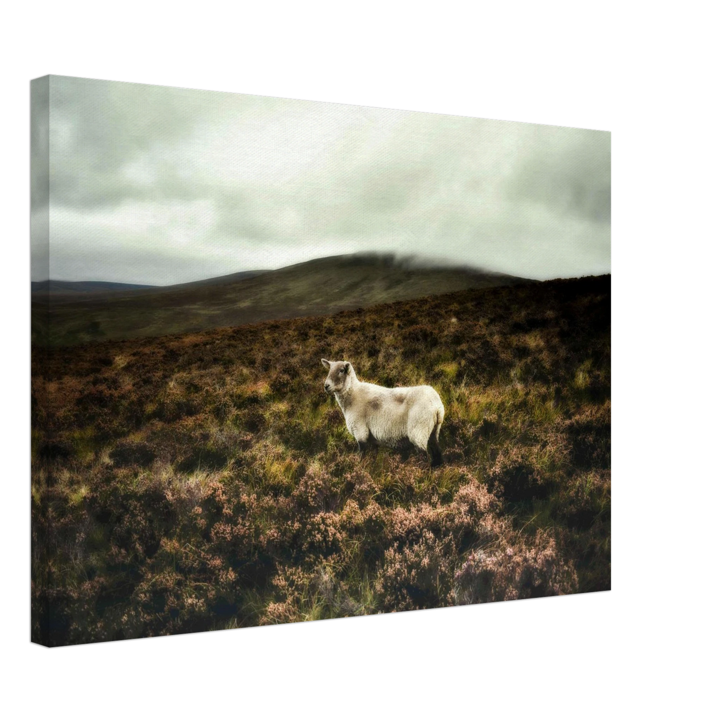 8d1598ec-daeb-4508-872c-066a233ac192