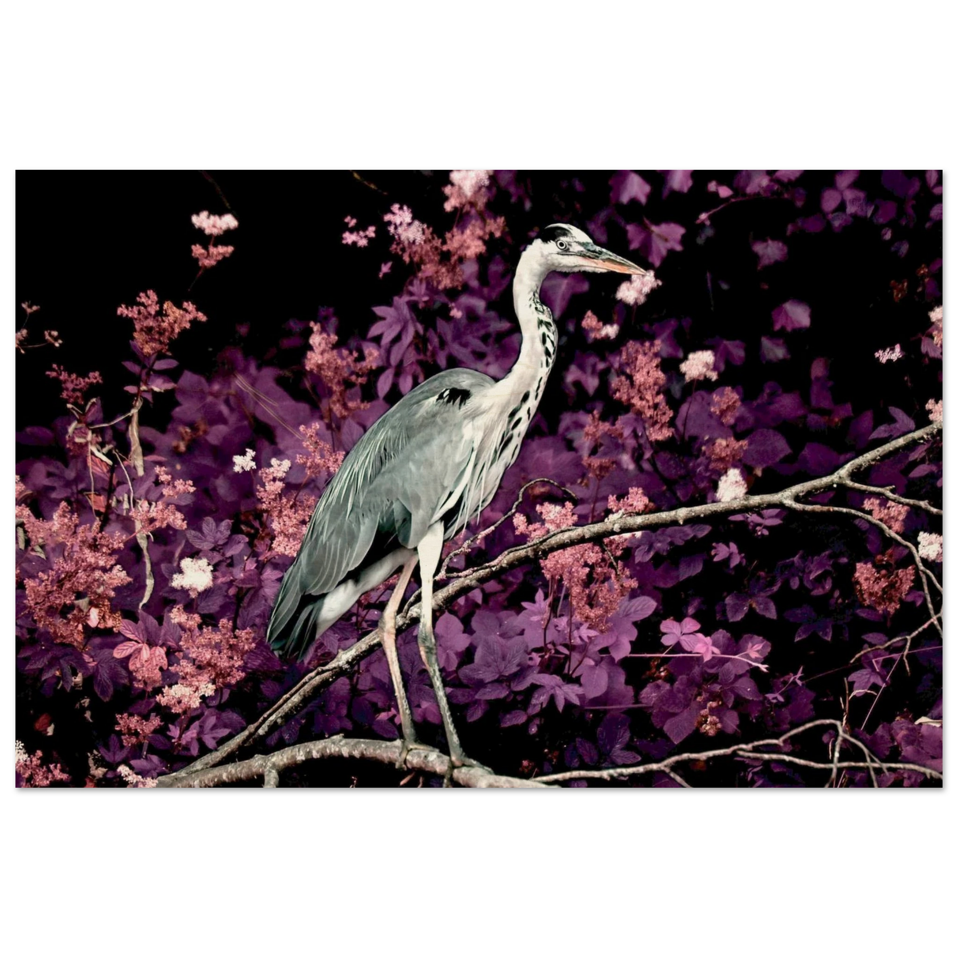 8d626b1e-ce3e-41c2-98f5-450a39d6029f