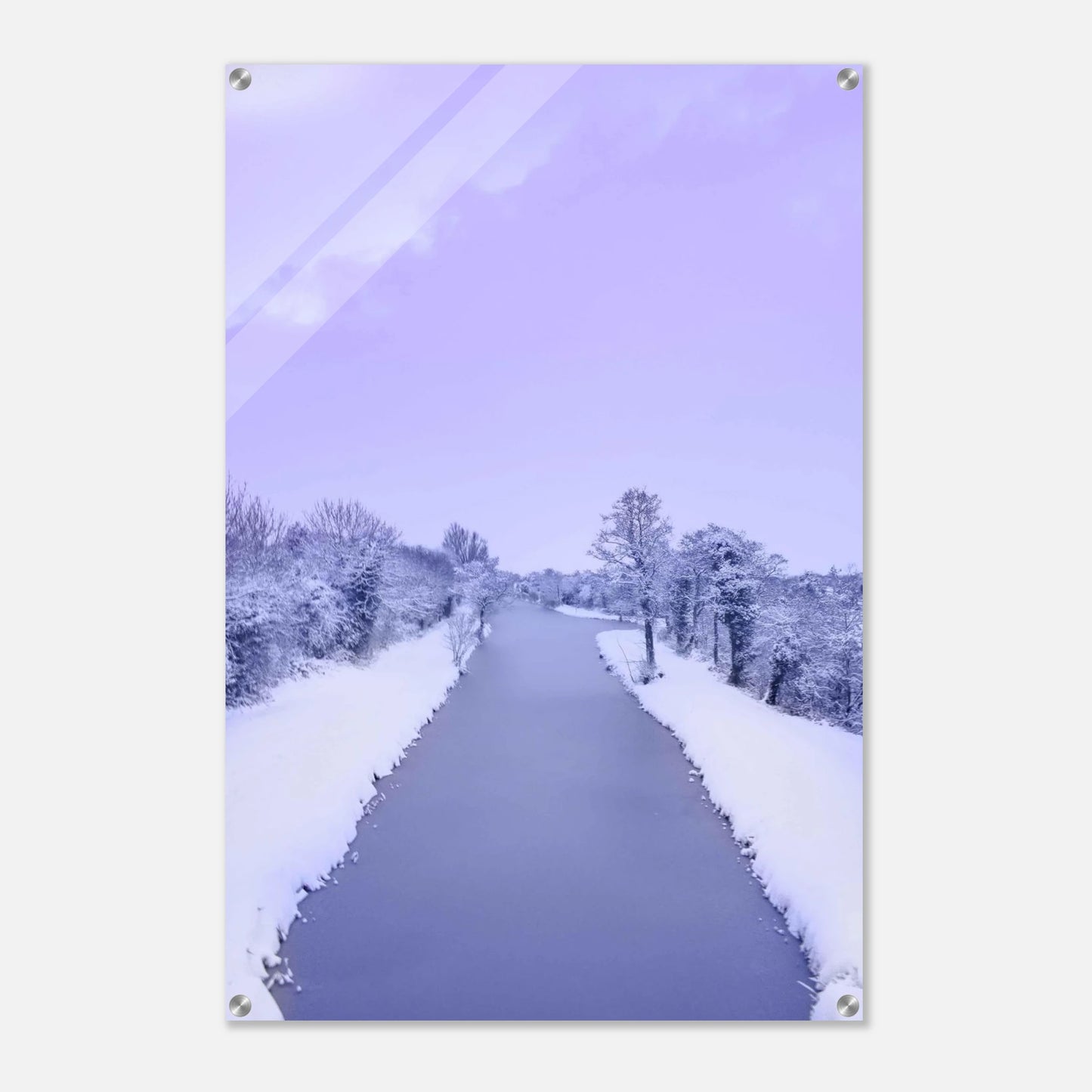 8d8102f5-6d20-489f-8b8a-c1cc7d7492cd