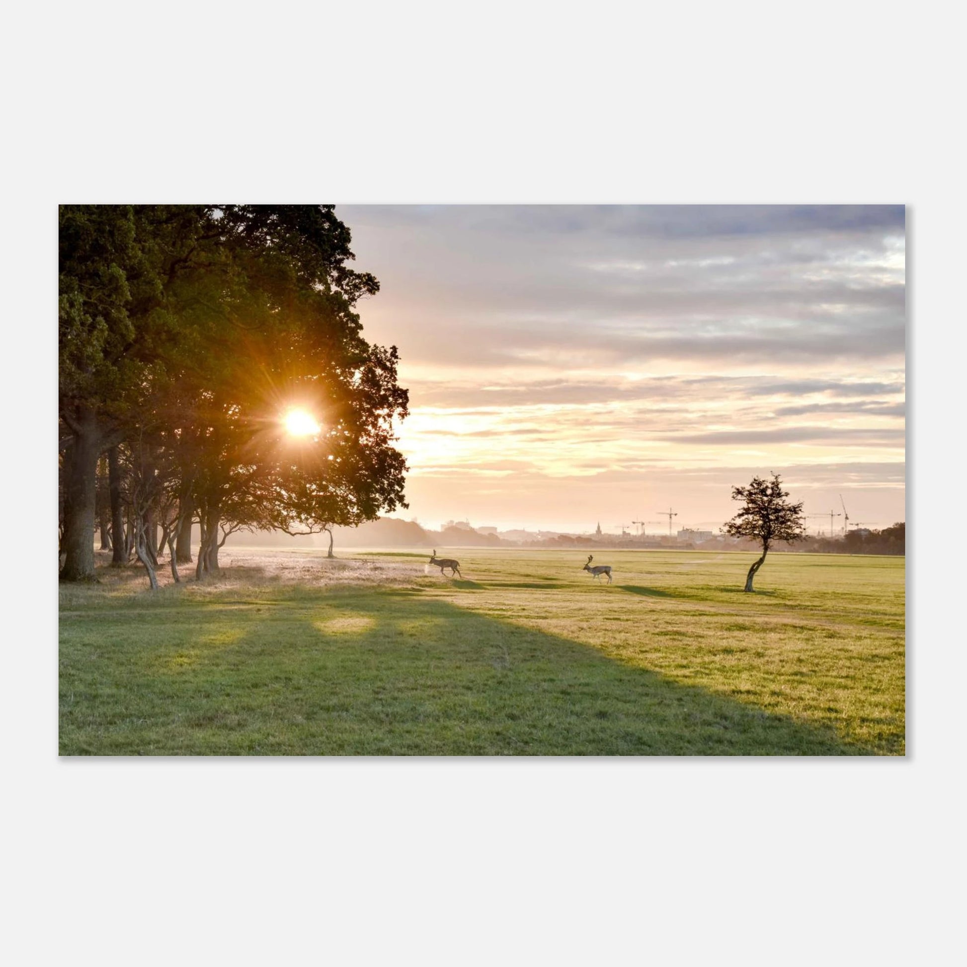 8d82dcd4-2949-4456-80fd-0769039d4ada