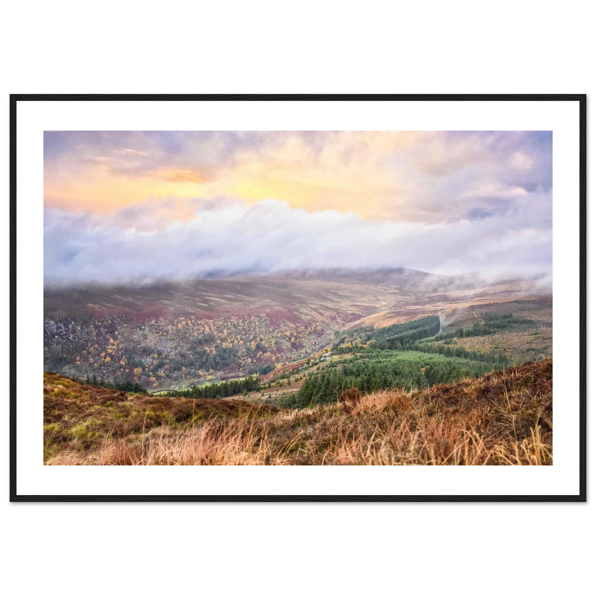 8daf090f-1945-4b8f-9a43-c57a6ccc29f1