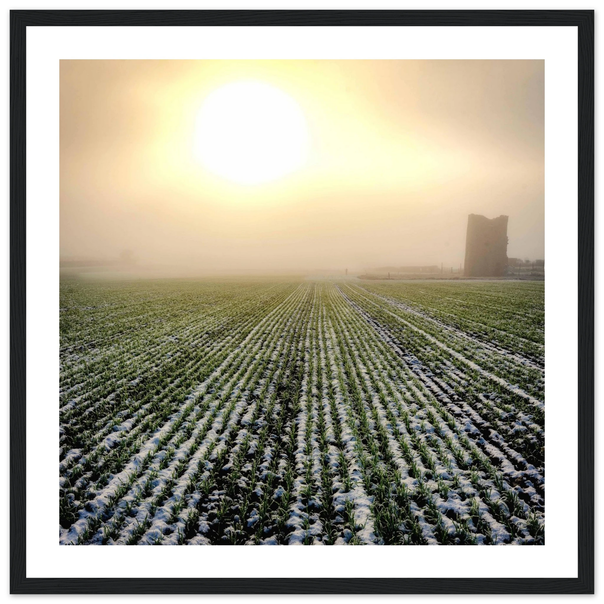 8db51aaf-f3cc-42b2-bd32-dc79830844b3