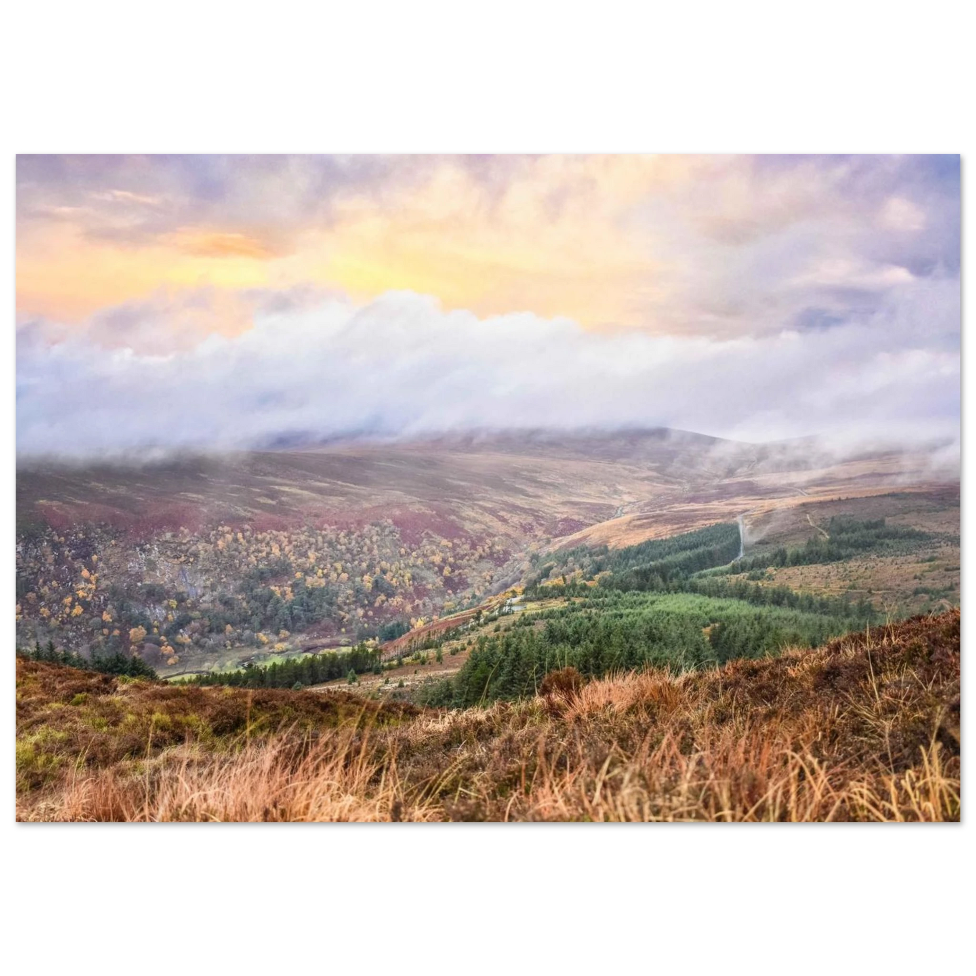 8dbebbe9-c8fa-4c86-90c0-6bb297e153f0