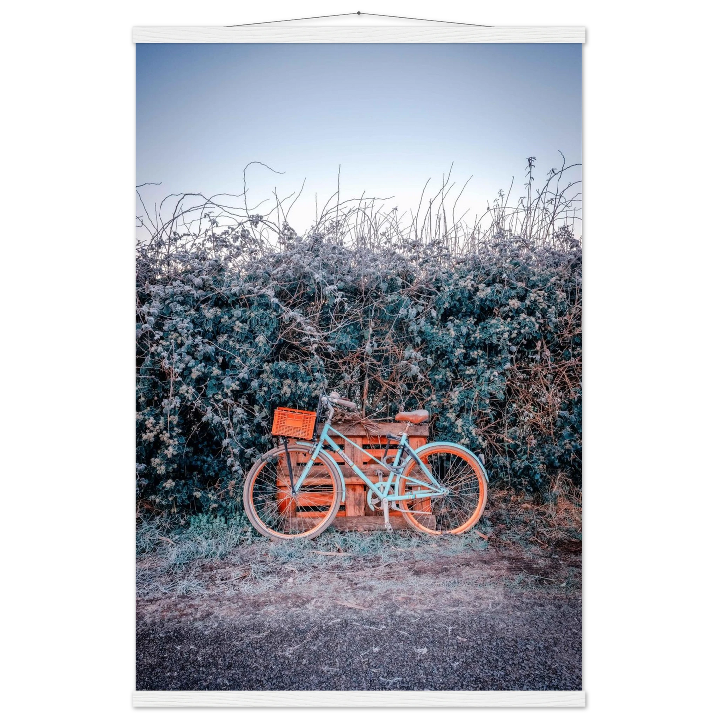 8e0cc50c-23f3-4809-88f0-1637dcc2eb7a