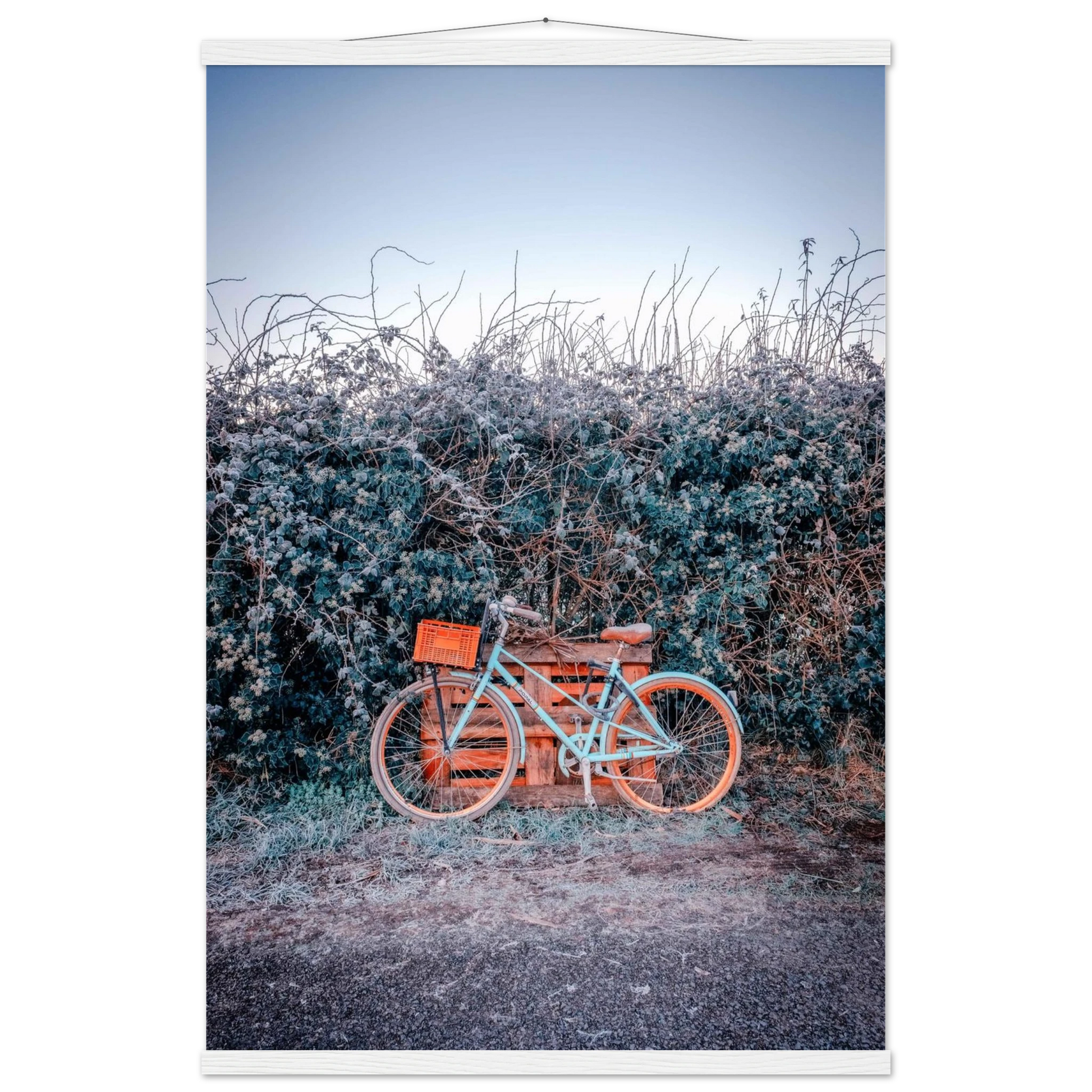 8e0cc50c-23f3-4809-88f0-1637dcc2eb7a