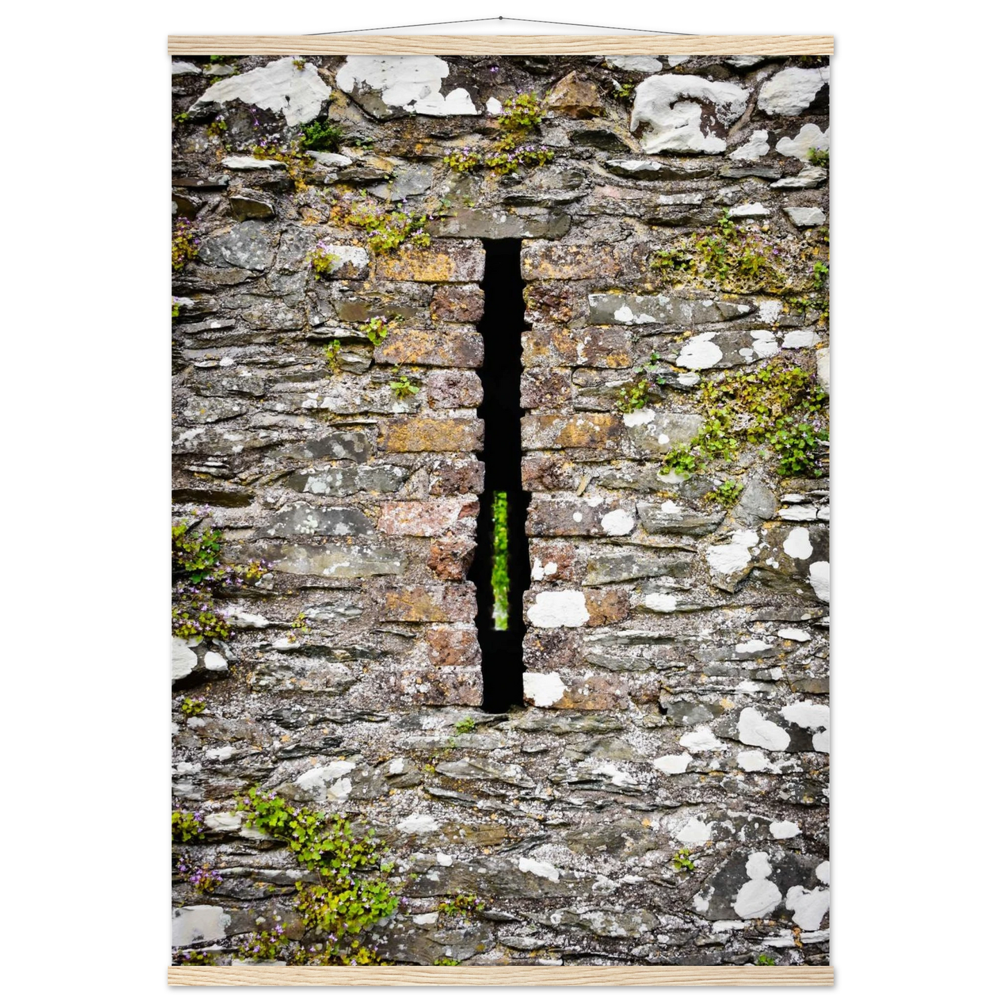 8ea227ce-e65f-473a-9ba6-c3f296d8a277