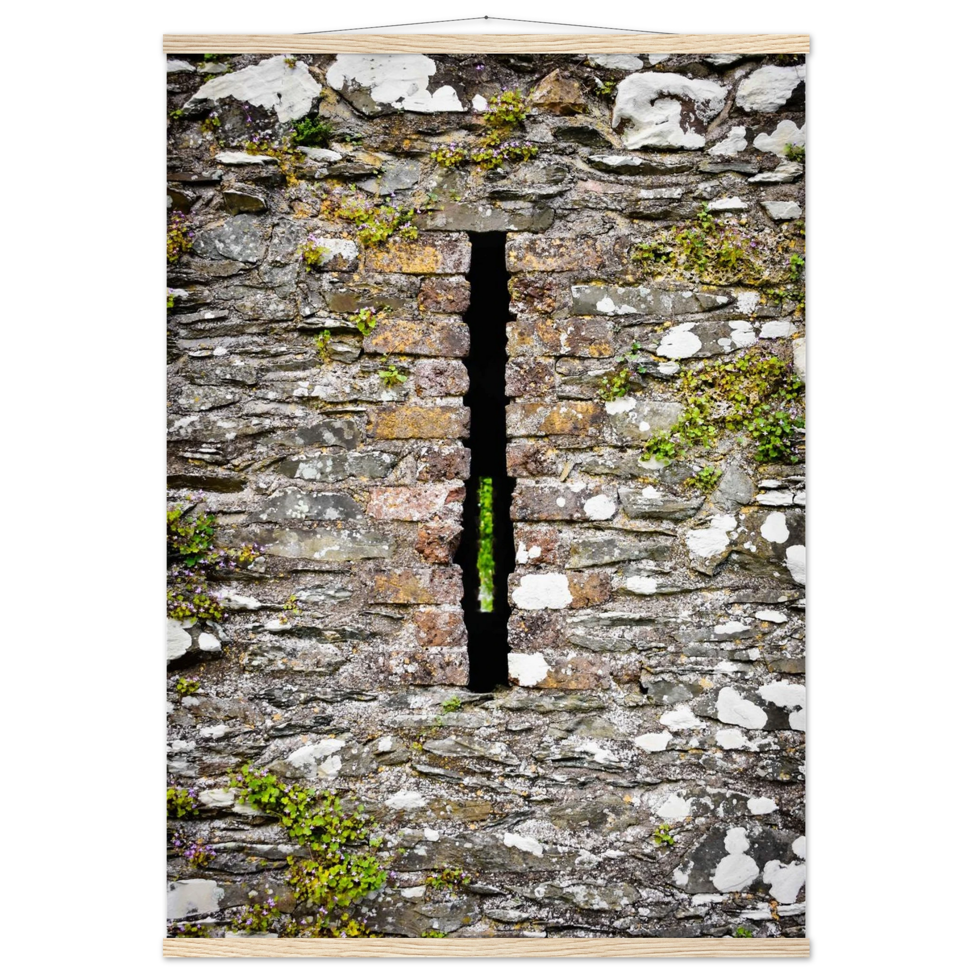 8ea227ce-e65f-473a-9ba6-c3f296d8a277