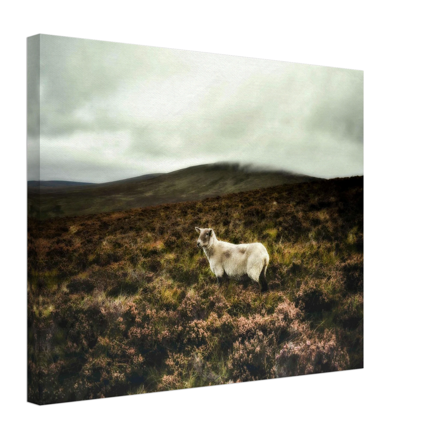 8ee285d1-bff3-4d6e-b5aa-de520caa65d3