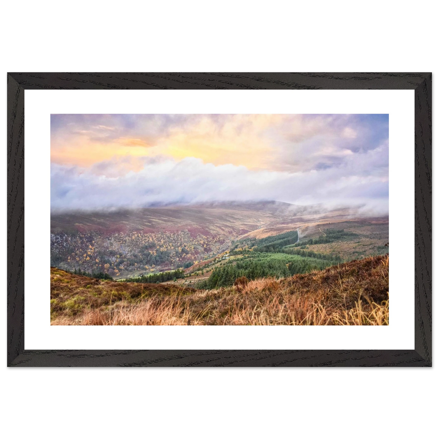 8f25ddfa-1310-42c7-a7e2-611d1848daee