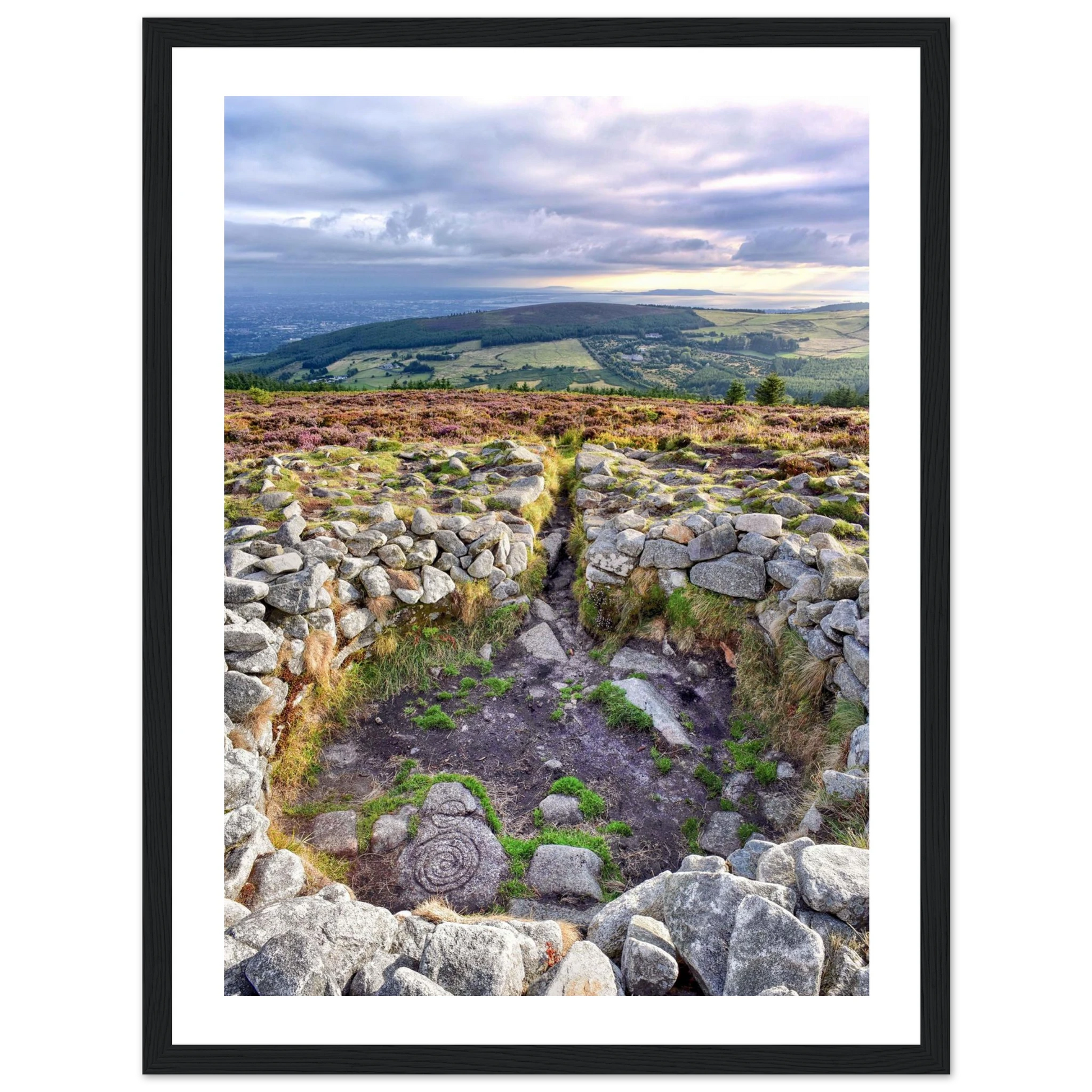 8facdec6-c0dc-40eb-922a-66dcfed559d8