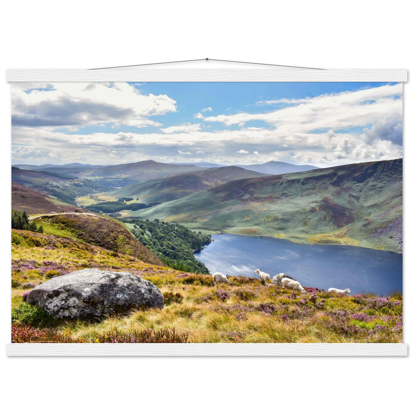 8fcdbf25-eff7-49e3-ae52-9bea5819c0e4